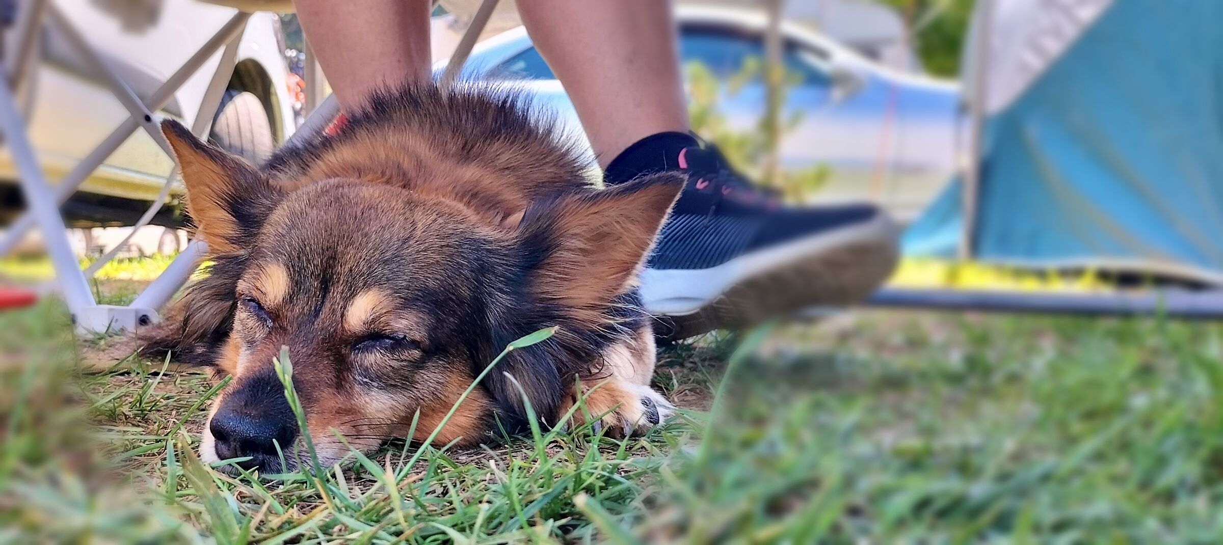 Well-deserved rest.