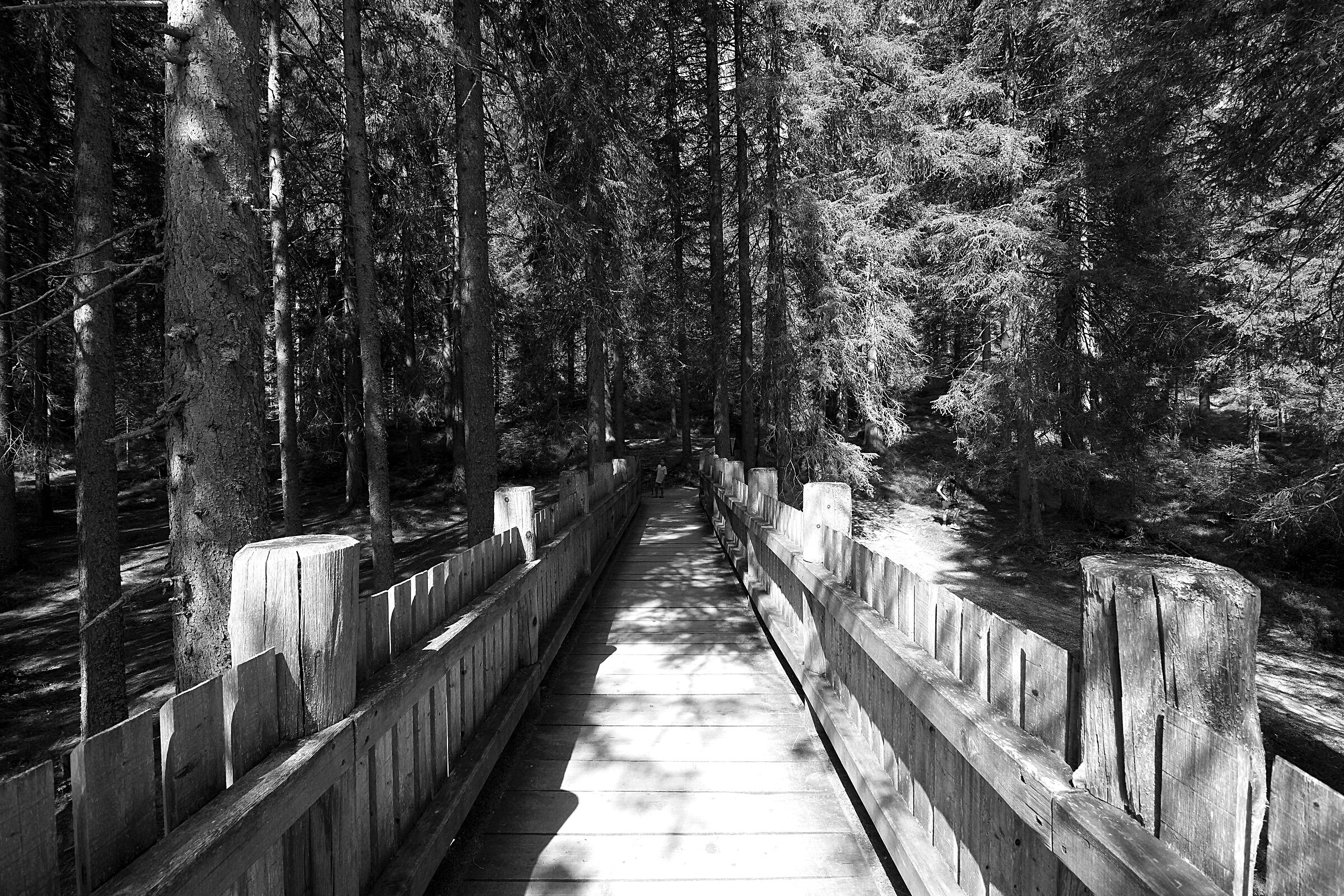 Wooden bridges