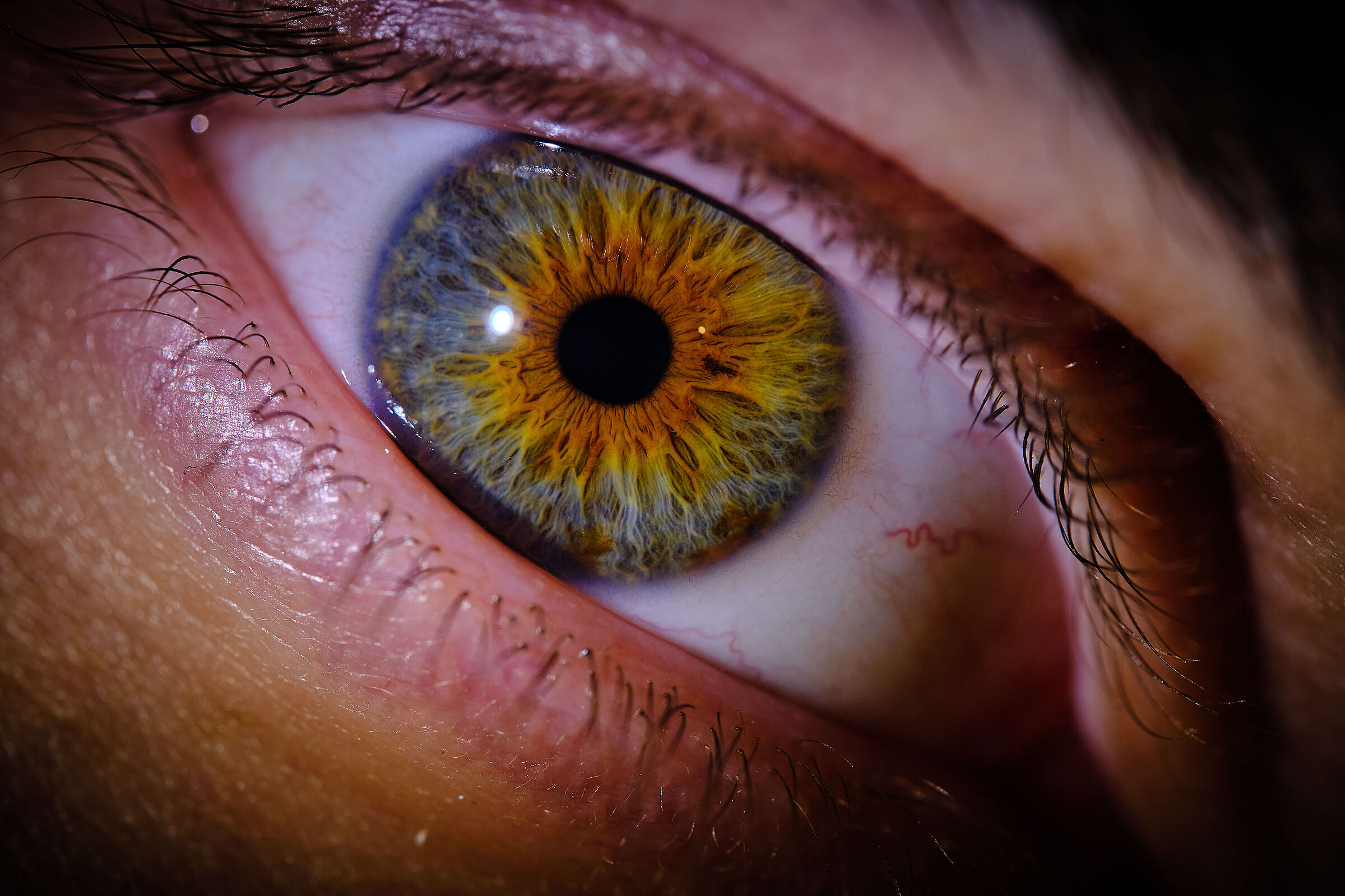 Hazel Blackhole