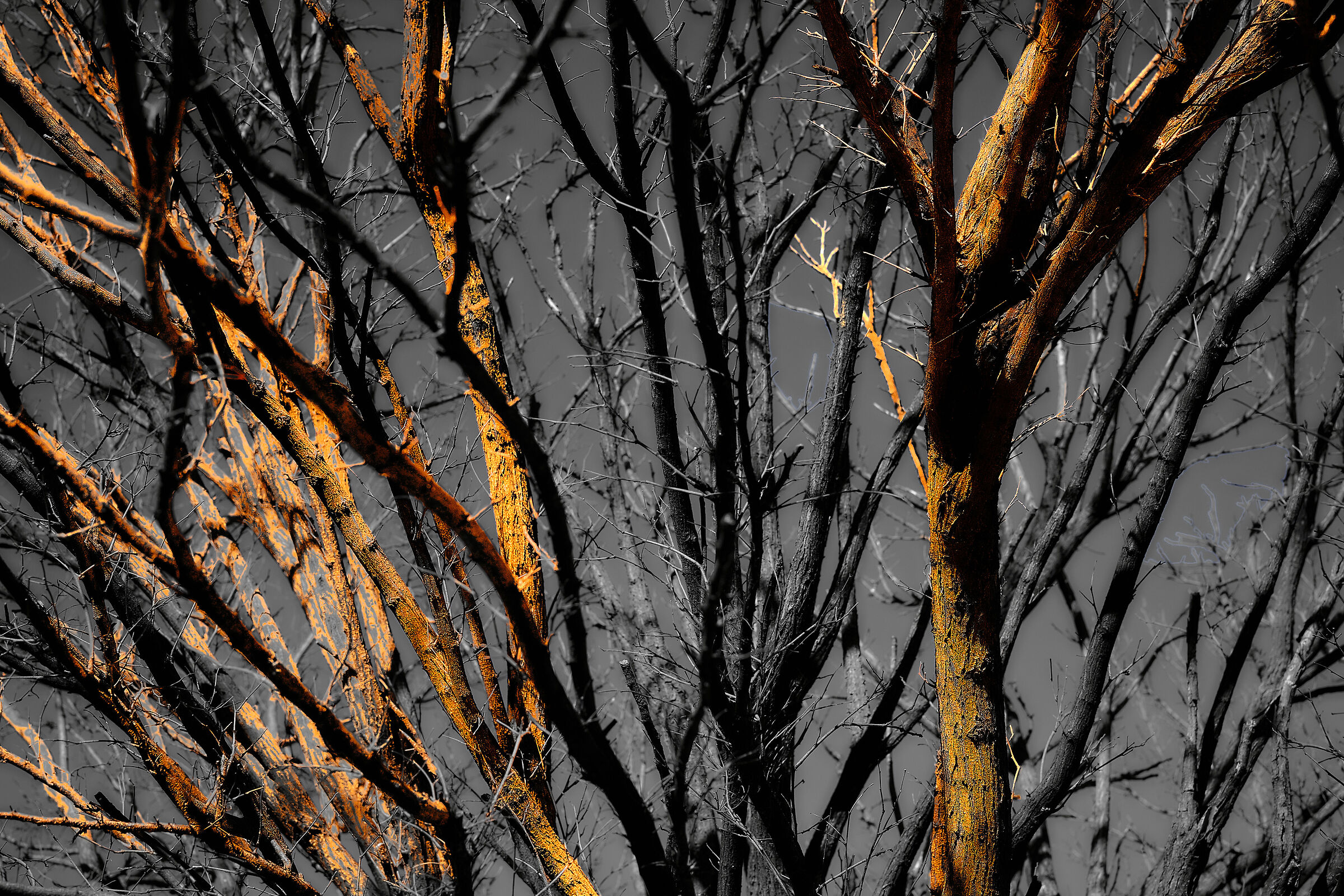 Kindling Fire