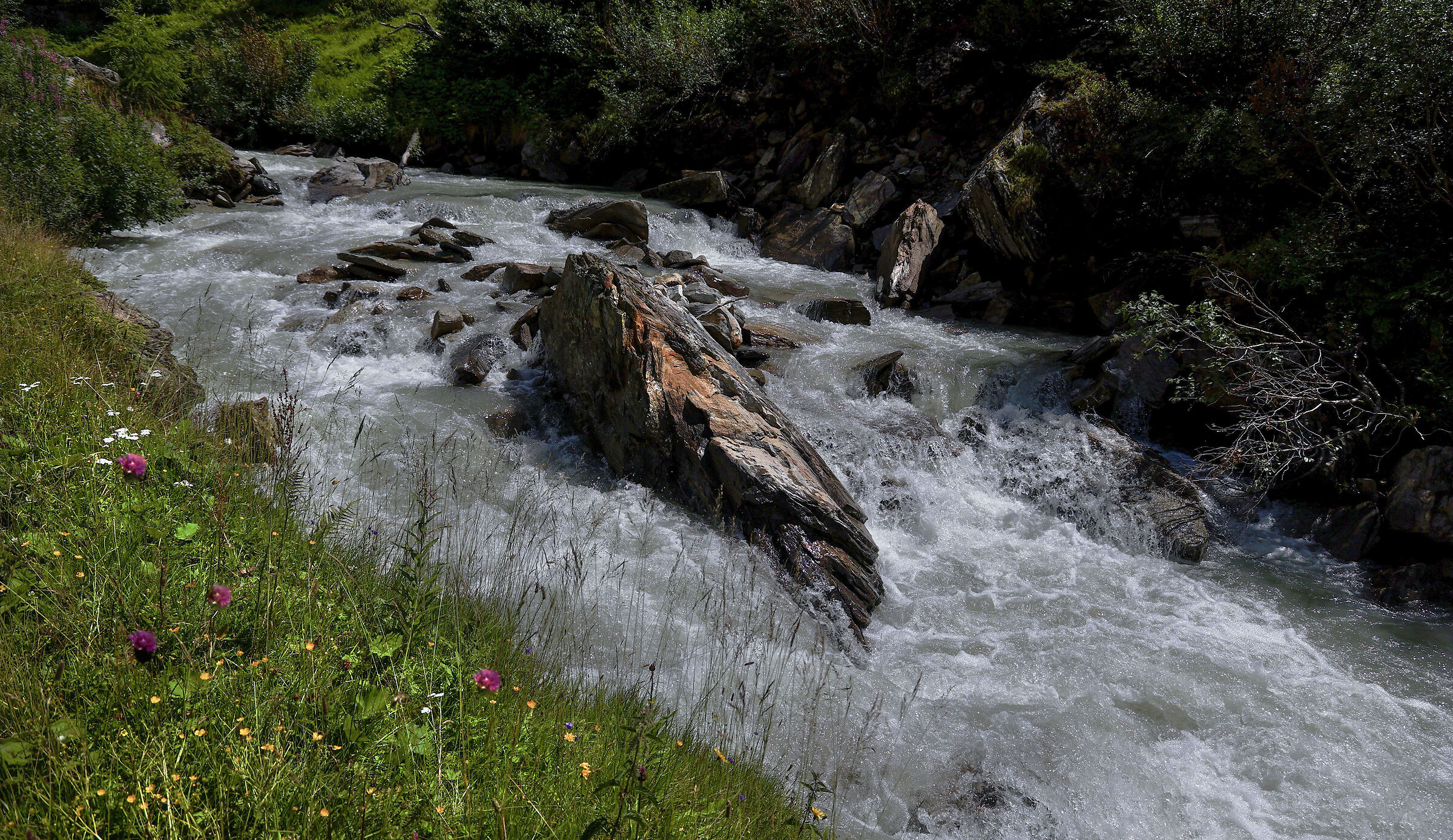 Torrente Aurino