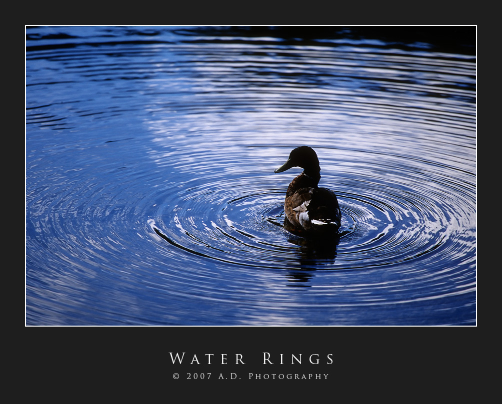 Water Rings