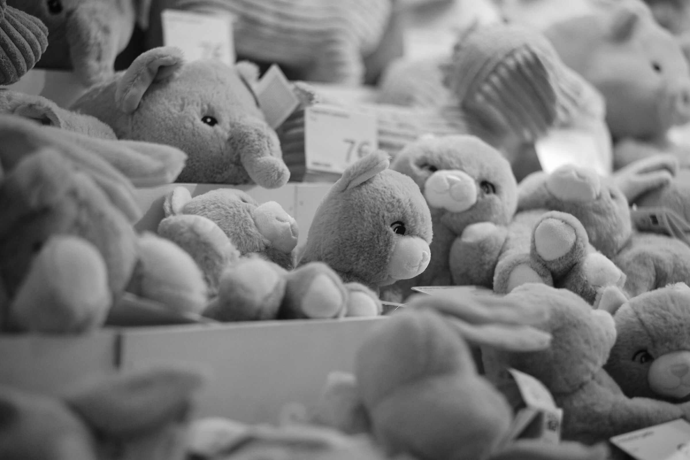 TIBURTINA VIII STATION