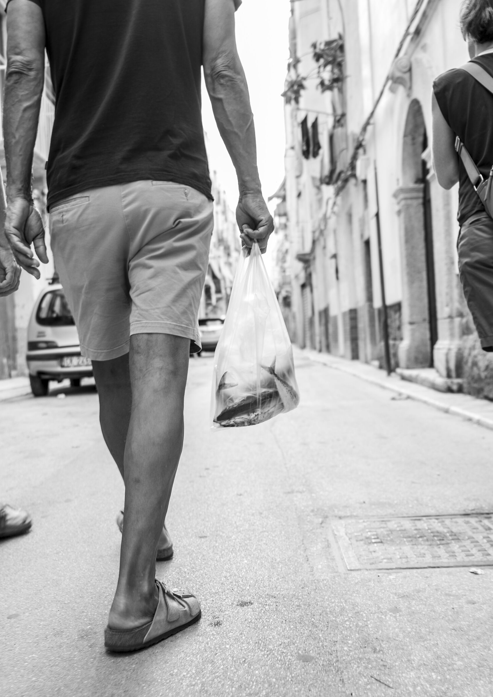 passeggiando con il pesce