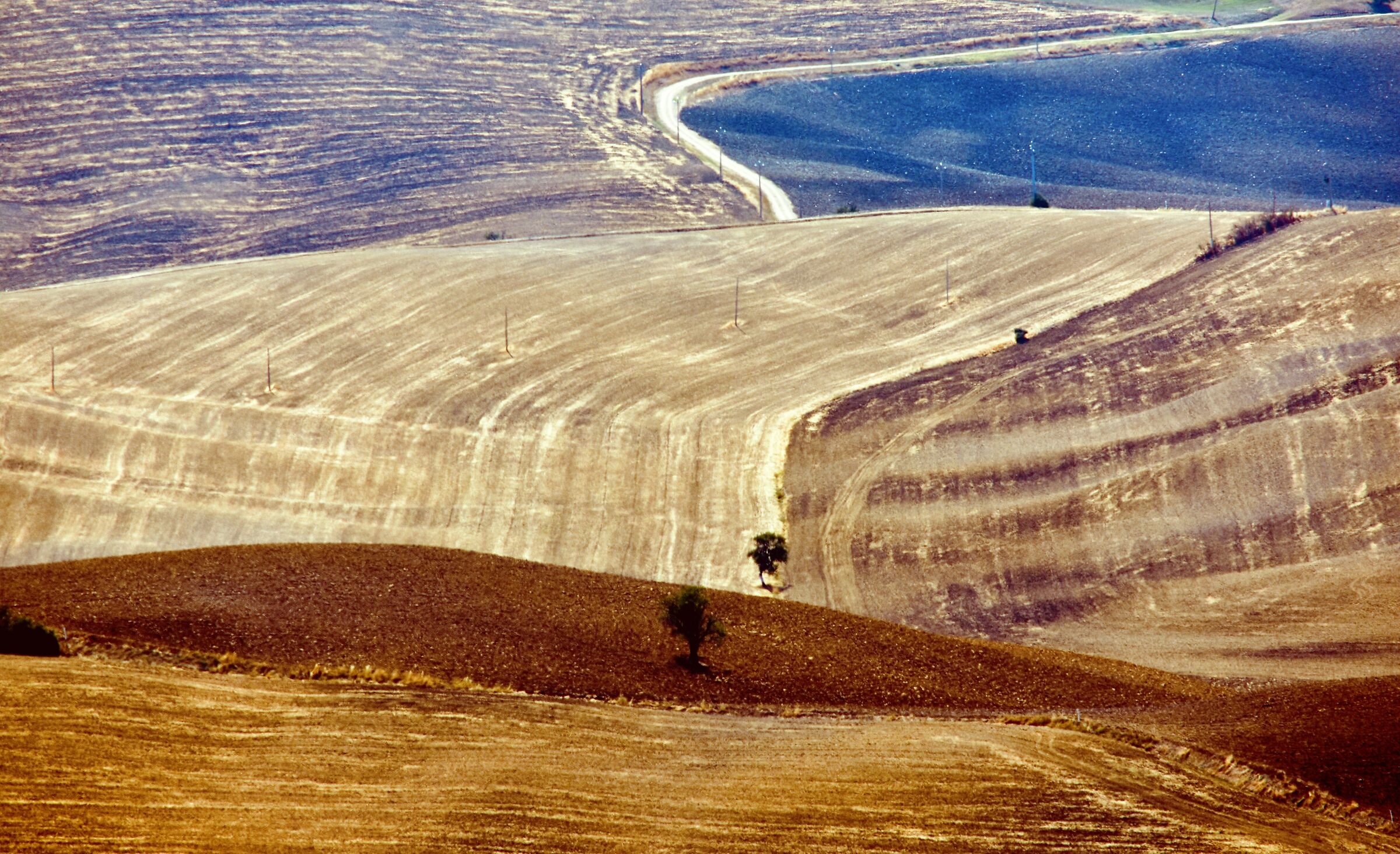 terre d'orcia