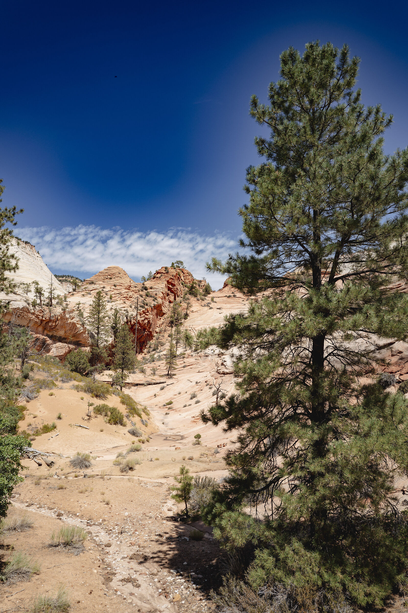 Sulla strada per Las Vegas -Las Vegas