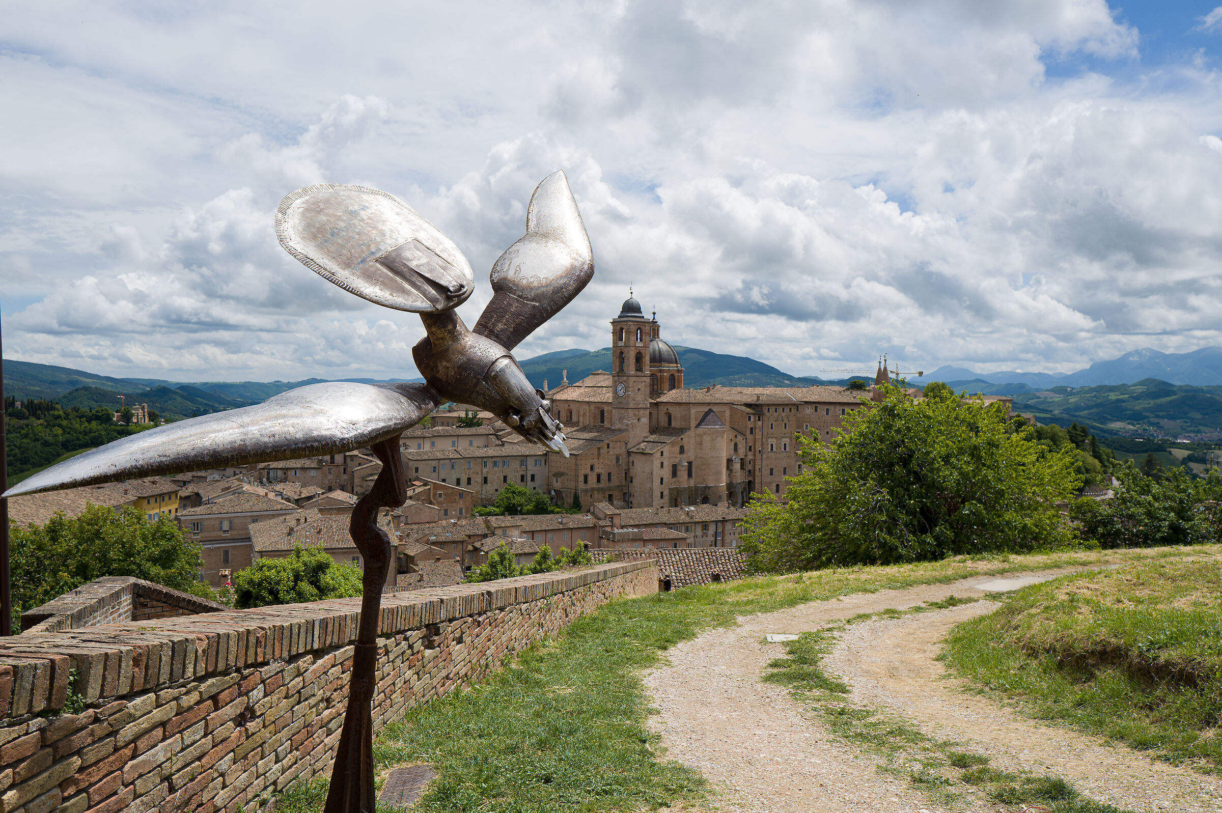 Urbino