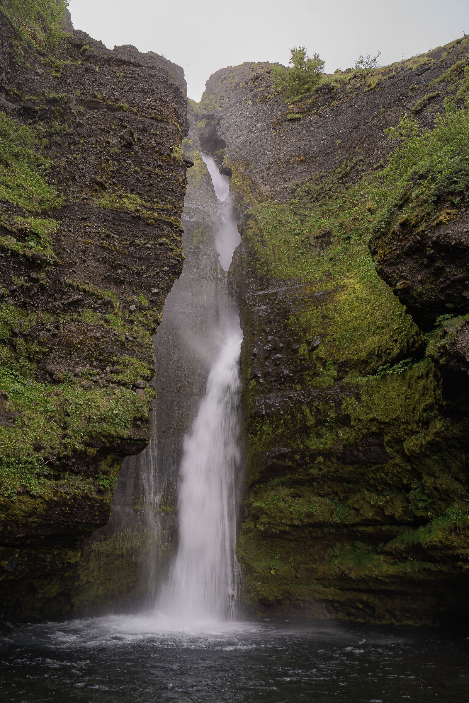 Lóðrétt mosa
