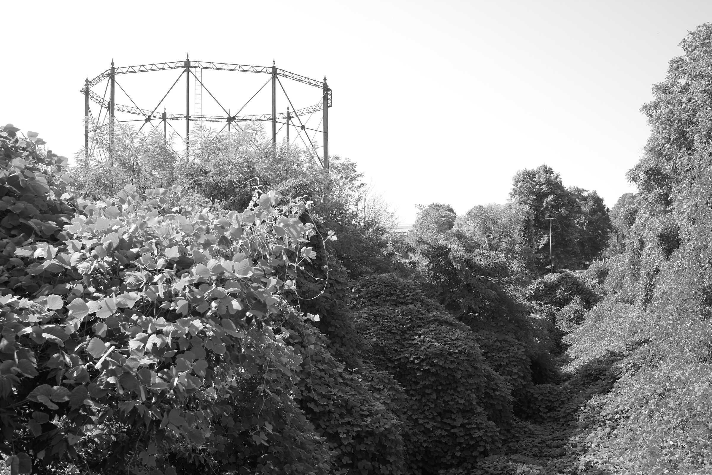 Gasometer and nature