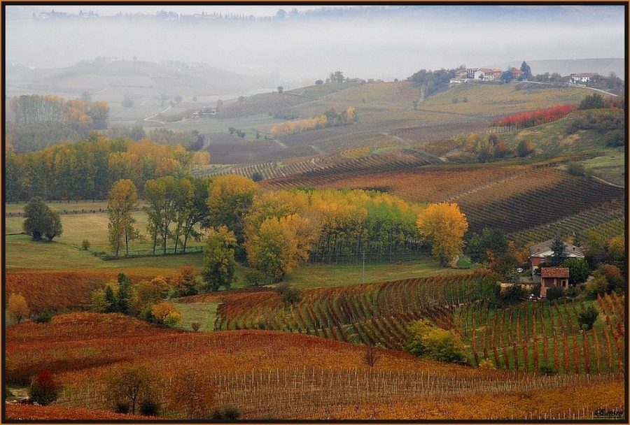 Autunno langarolo
