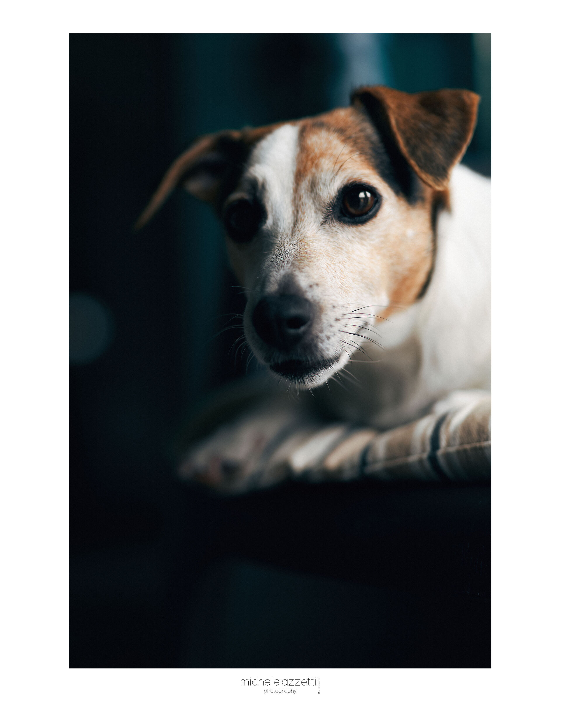 My