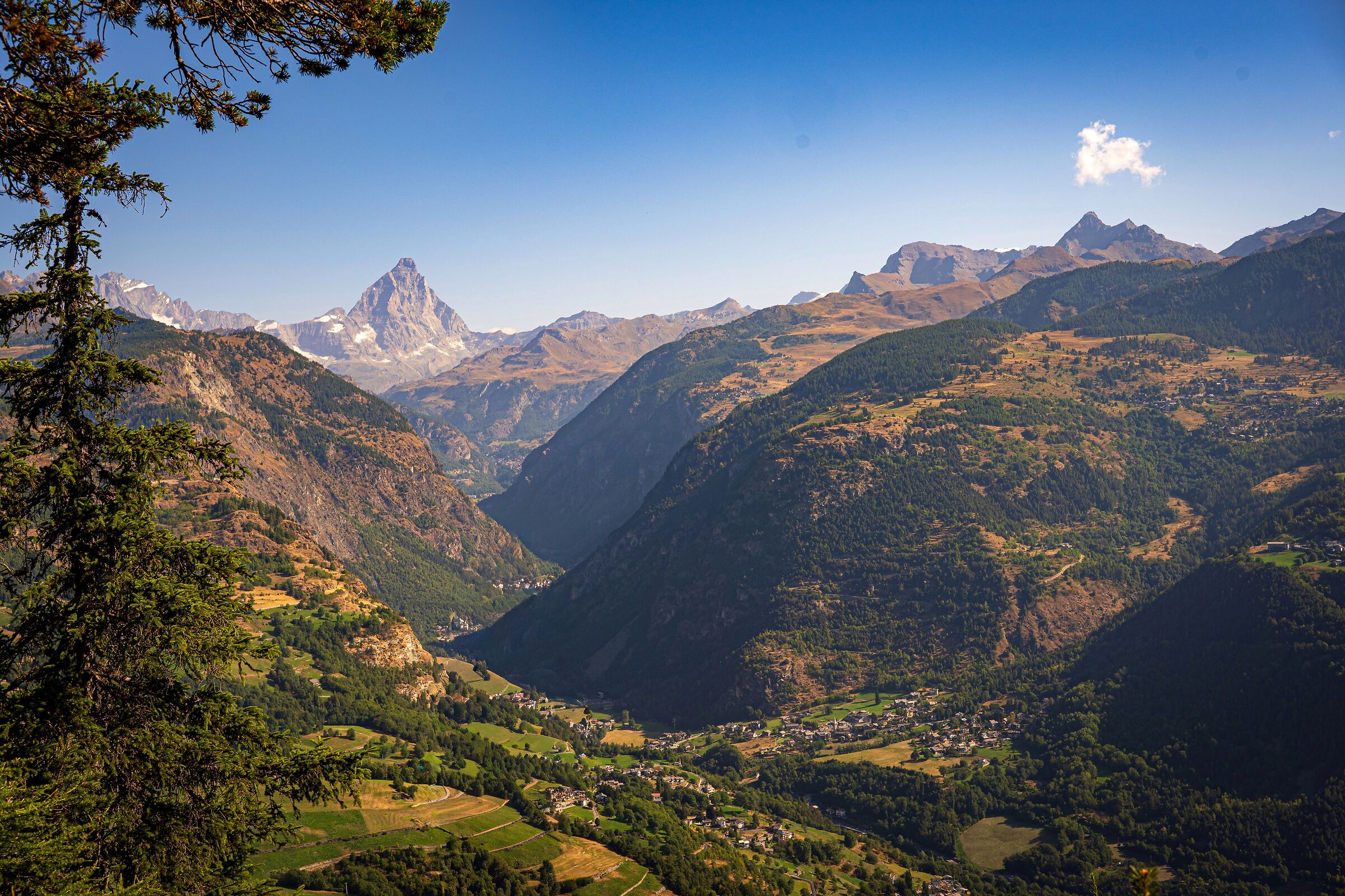 Valtournenche