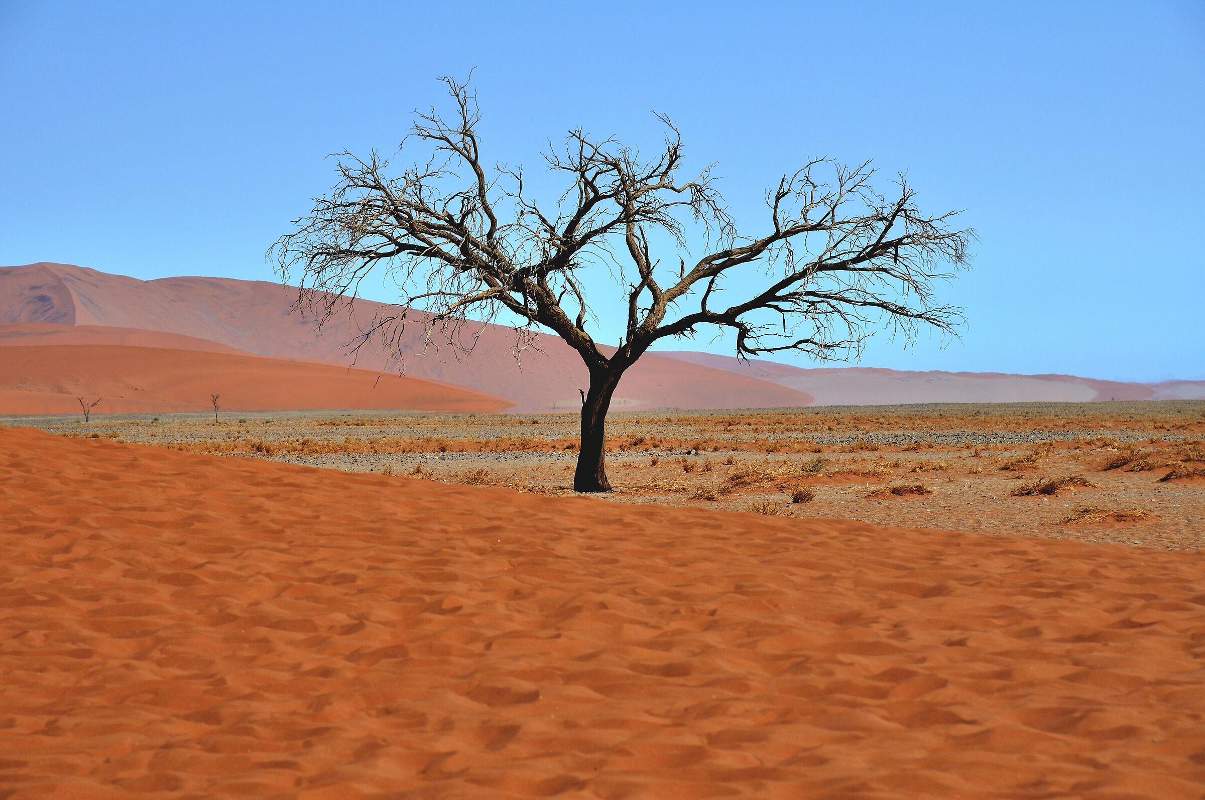 Sossusvlei