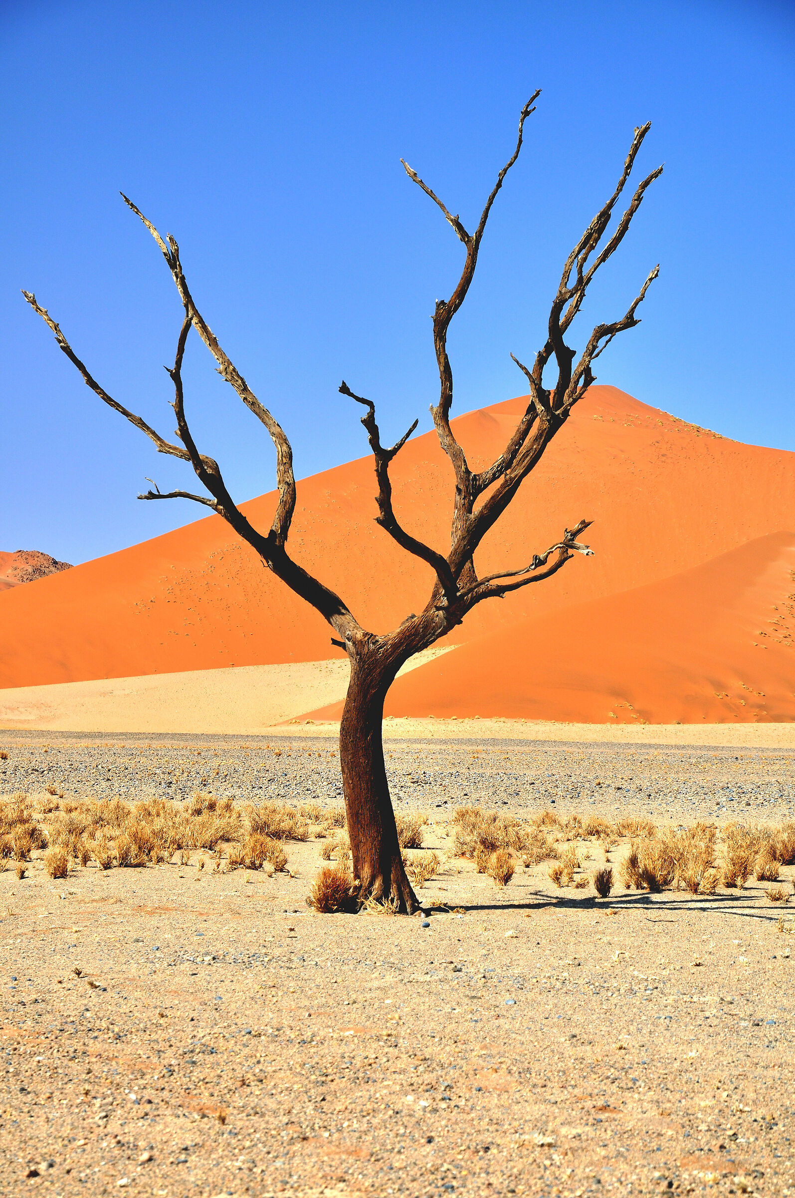 Sossusvlei