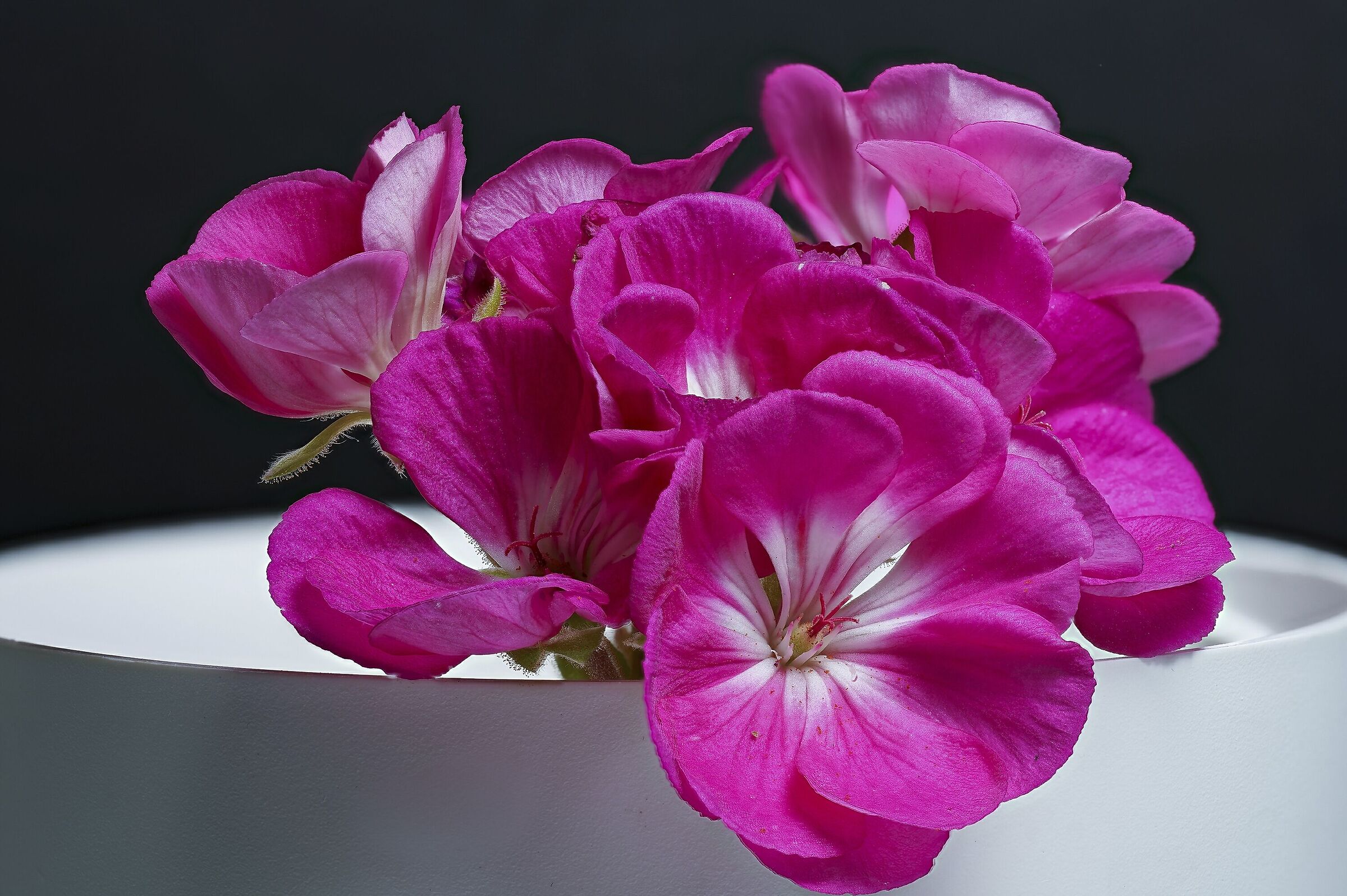 70 scatti f8 total flash