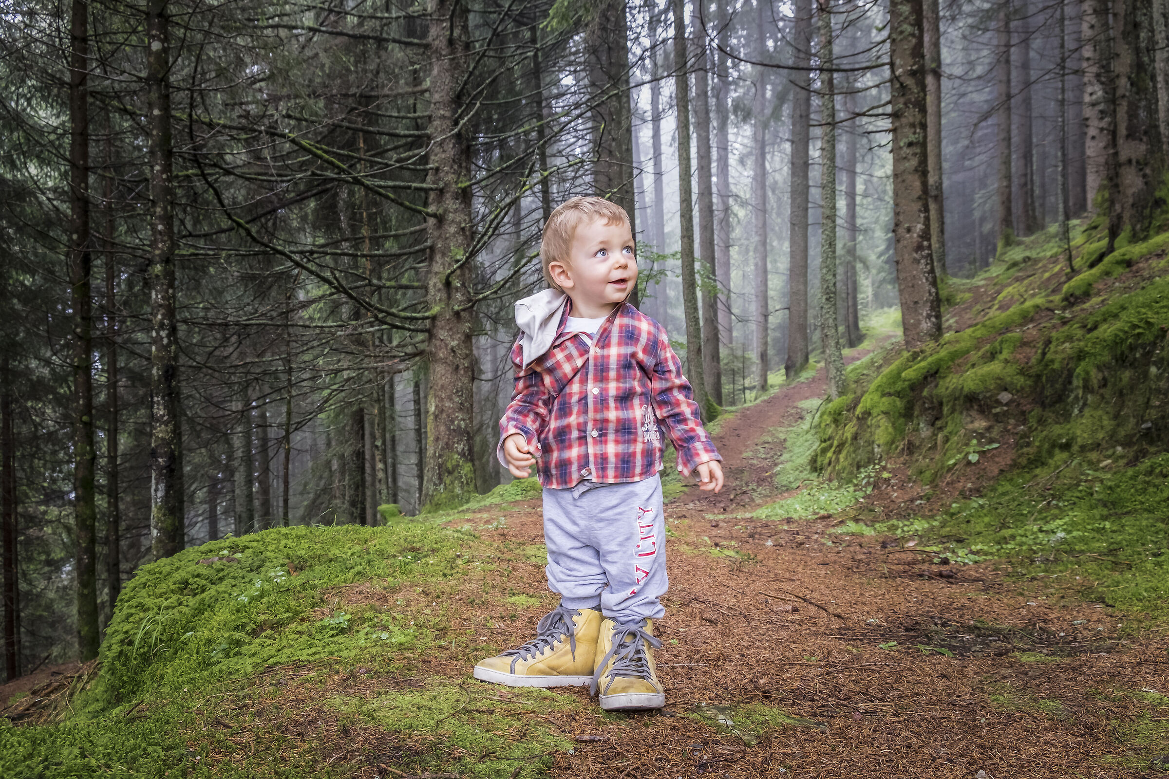 Goblins in the woods