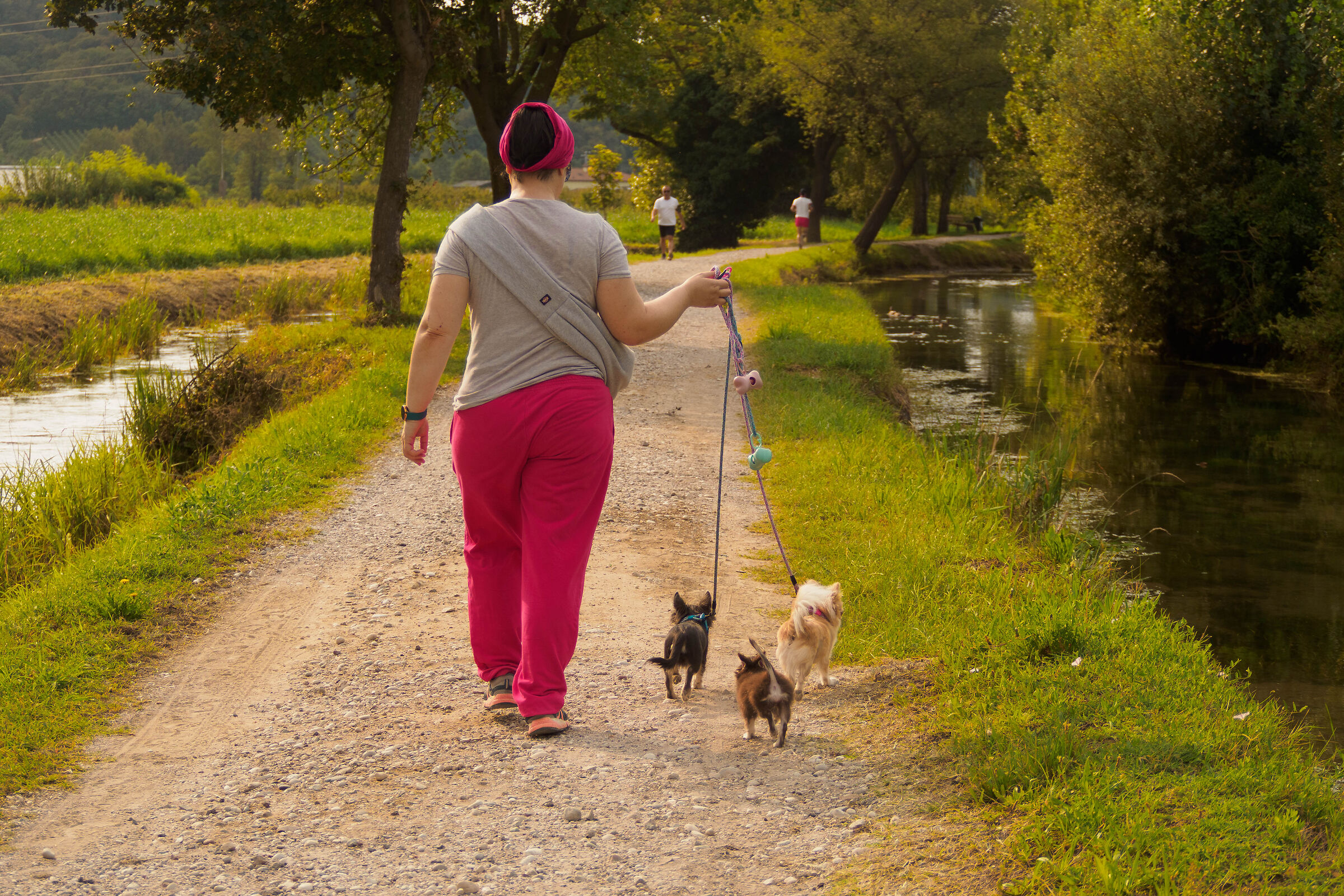 walk