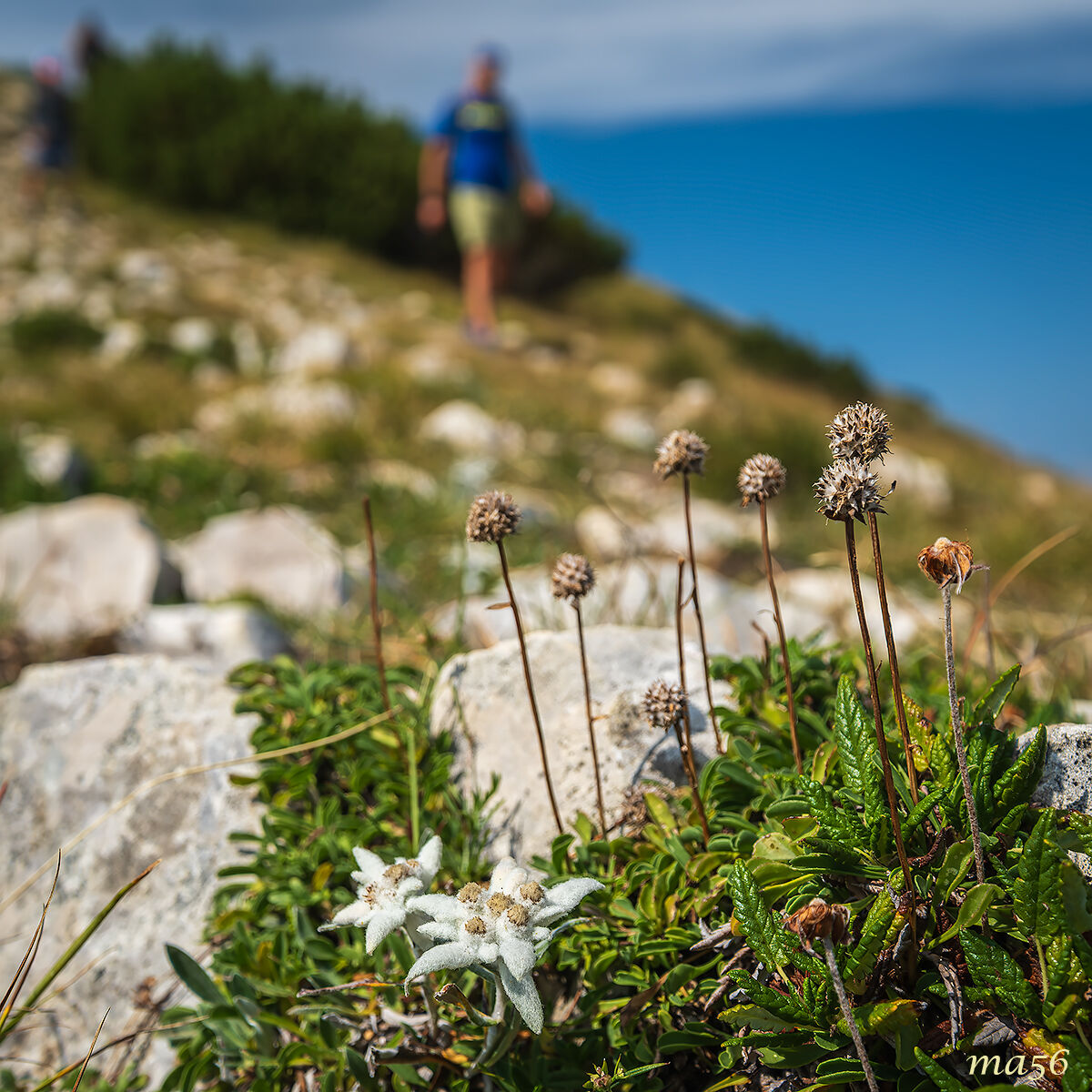 Passare e non vedere...