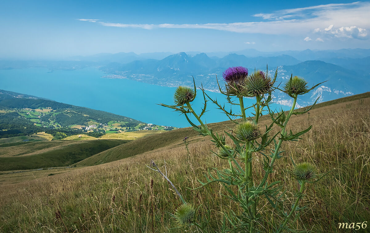 Lago di Garda dal Rifugio Chierego