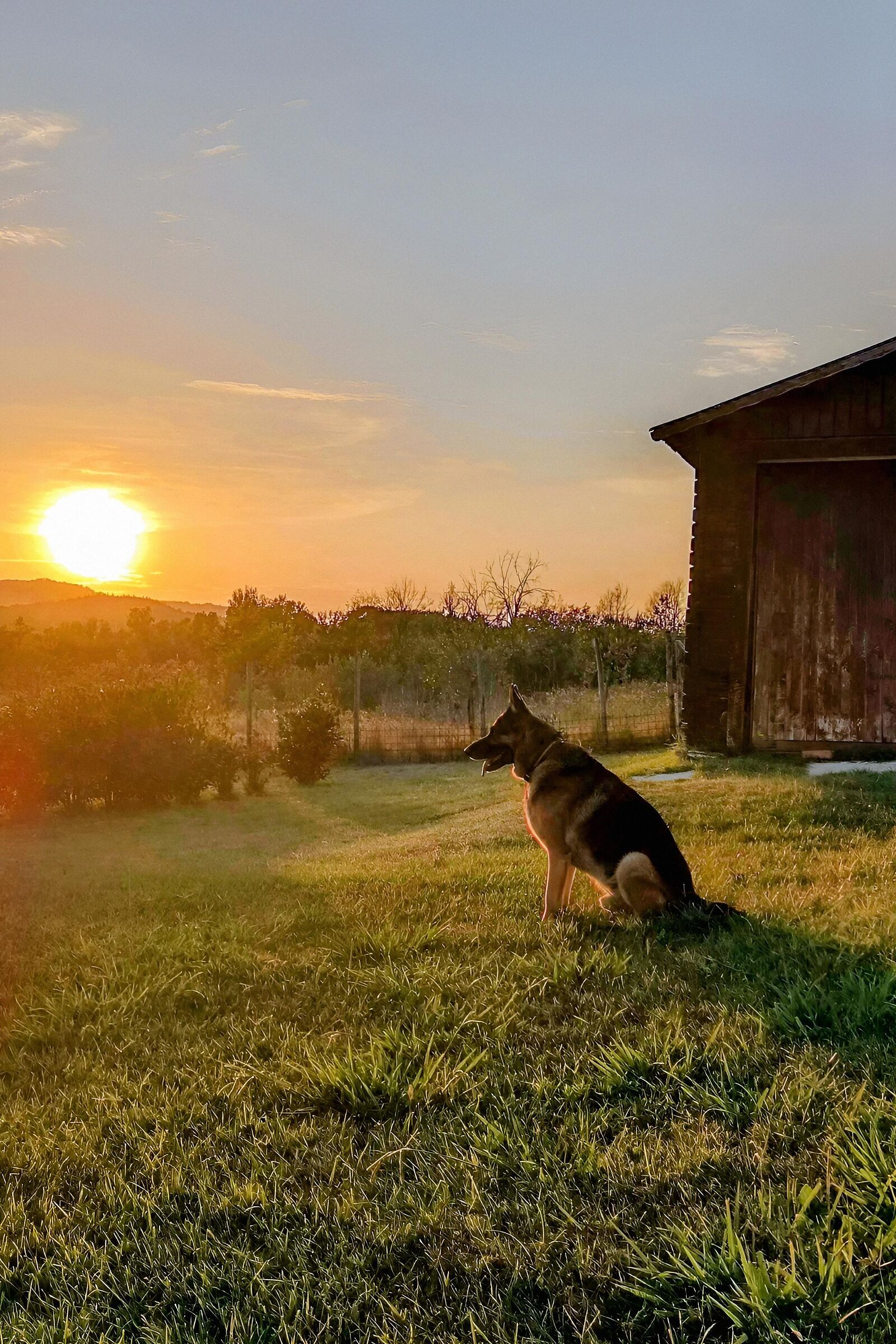 Ares guarding