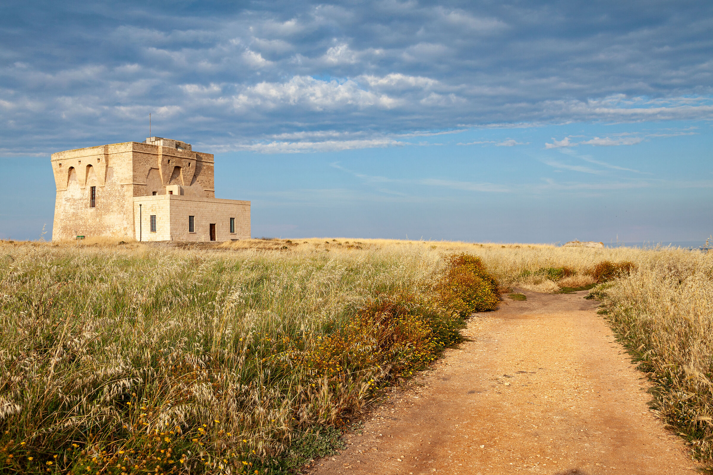 Guaceto Tower