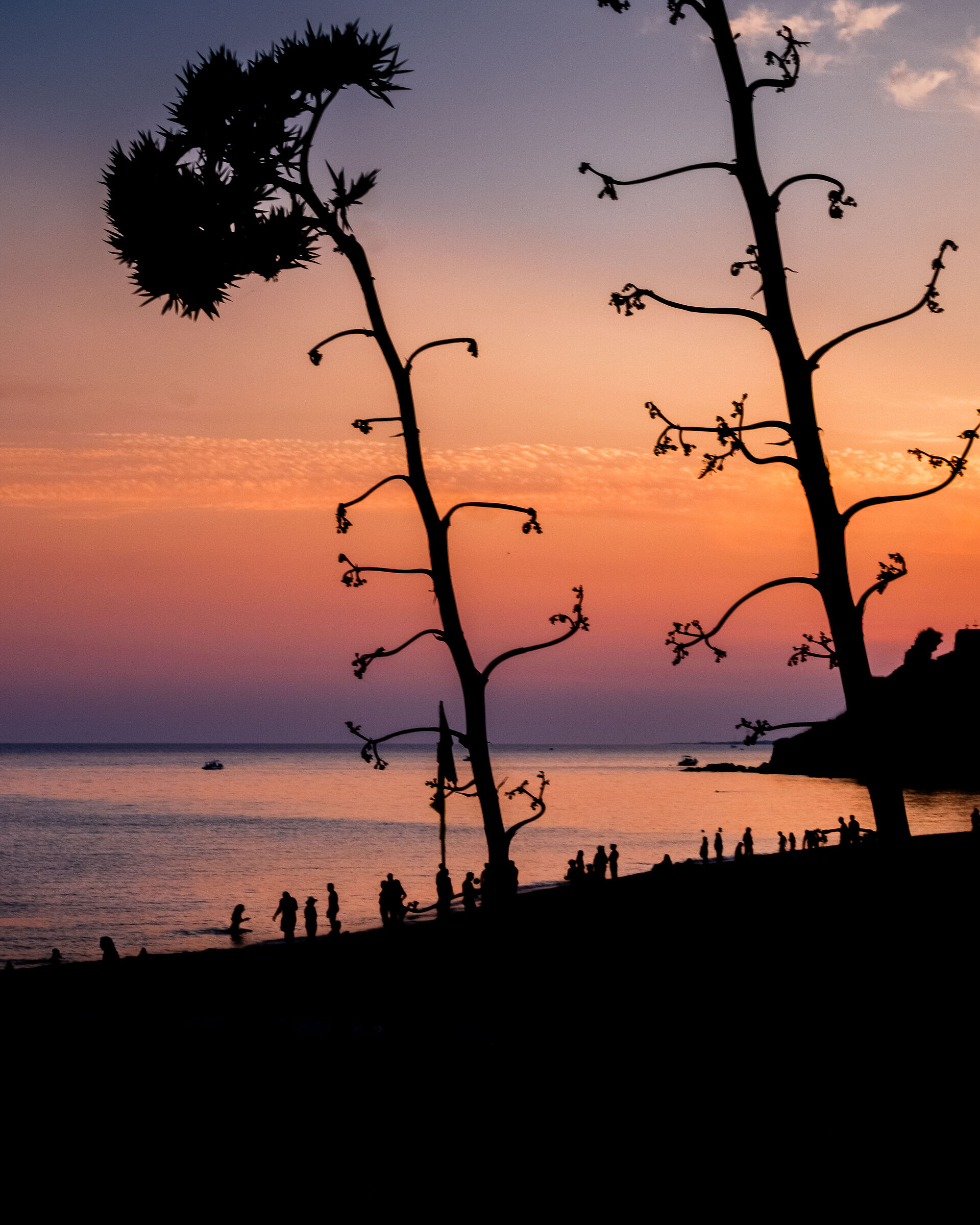 Sunset on the beach of Selinunte