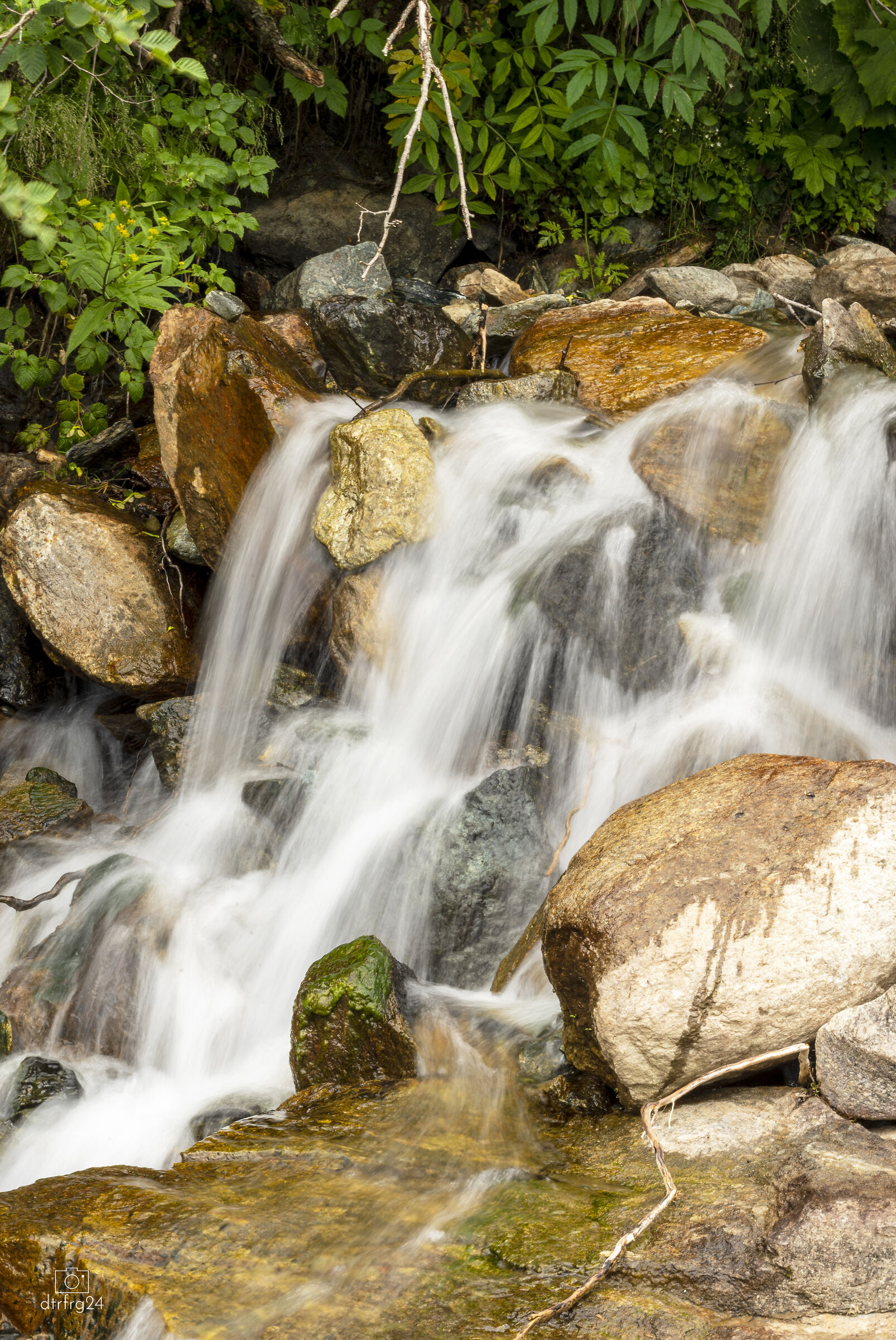 Where there's water there's life