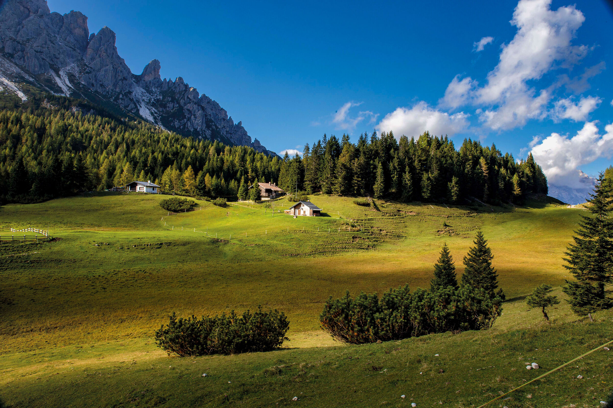 Pian dei Buoi, Cadore