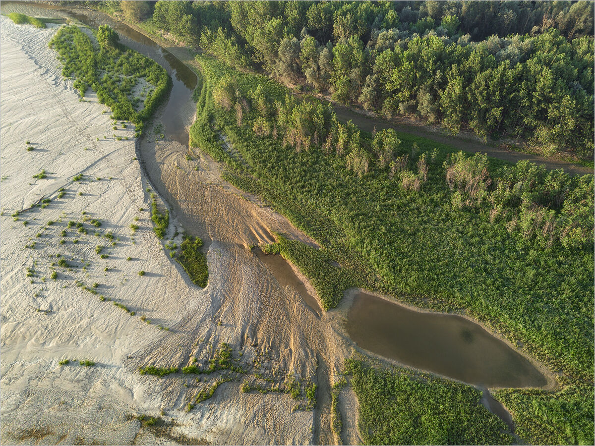 River Eel
