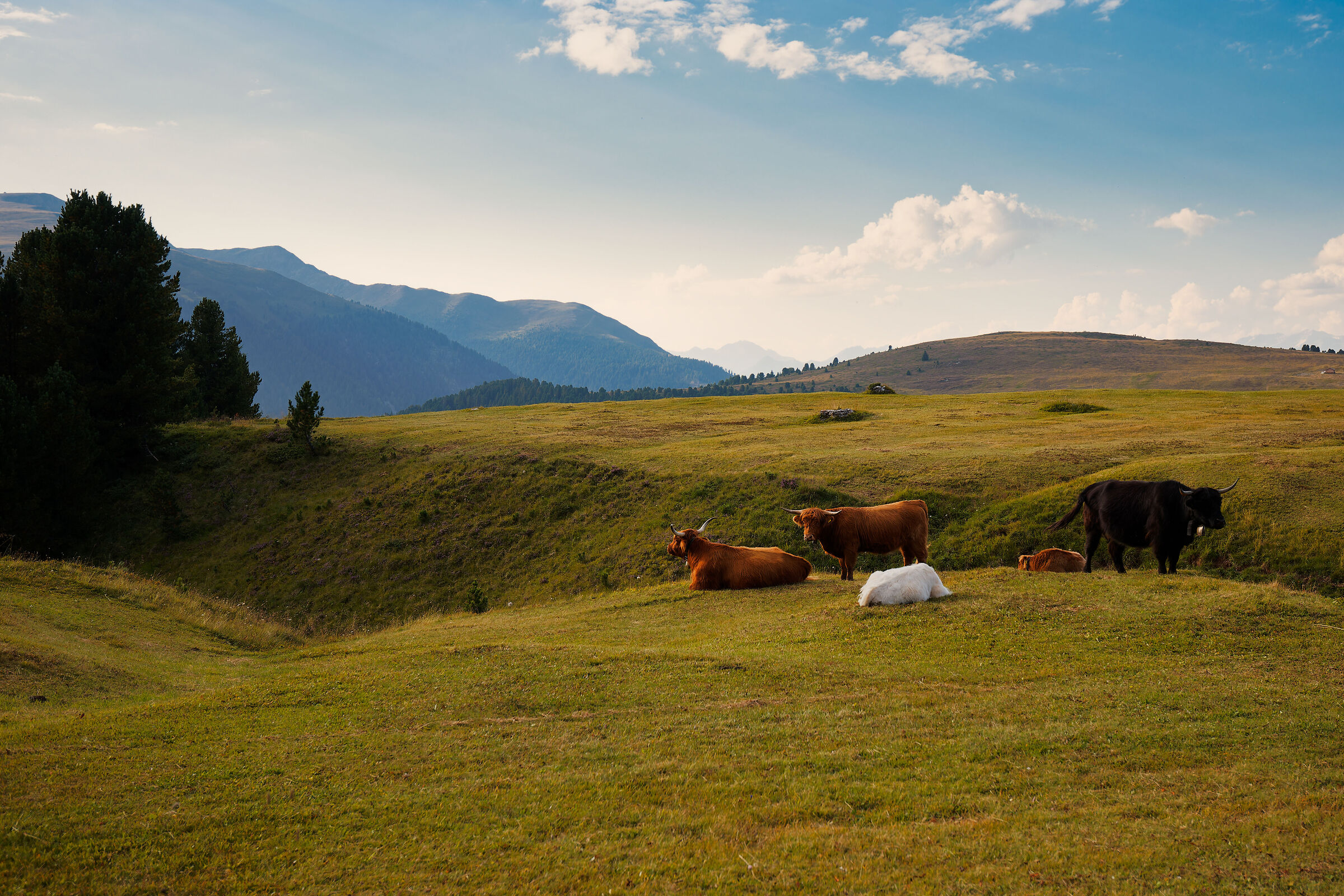 Highlanders al Passo delle Erbe