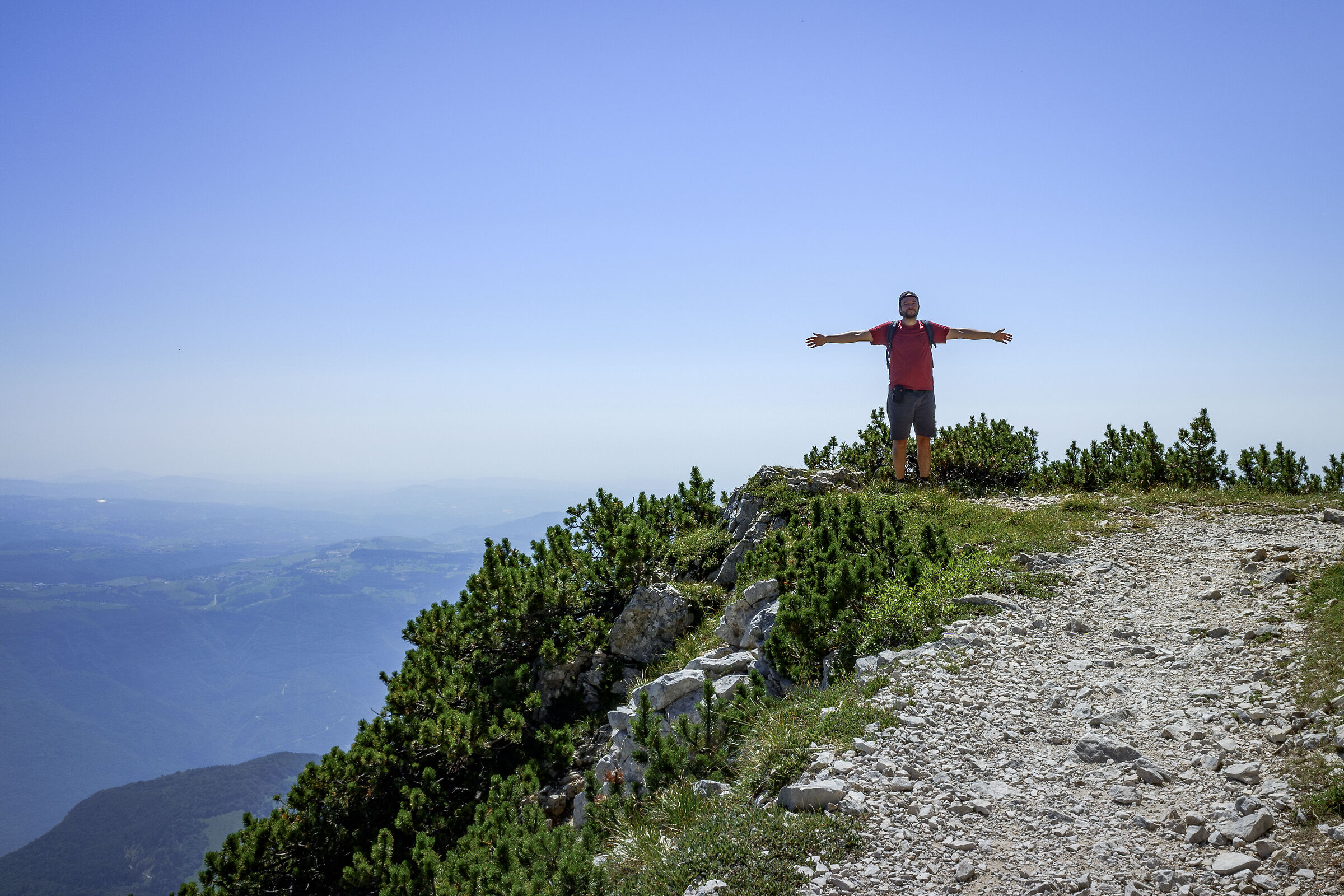 Free in the blue sky