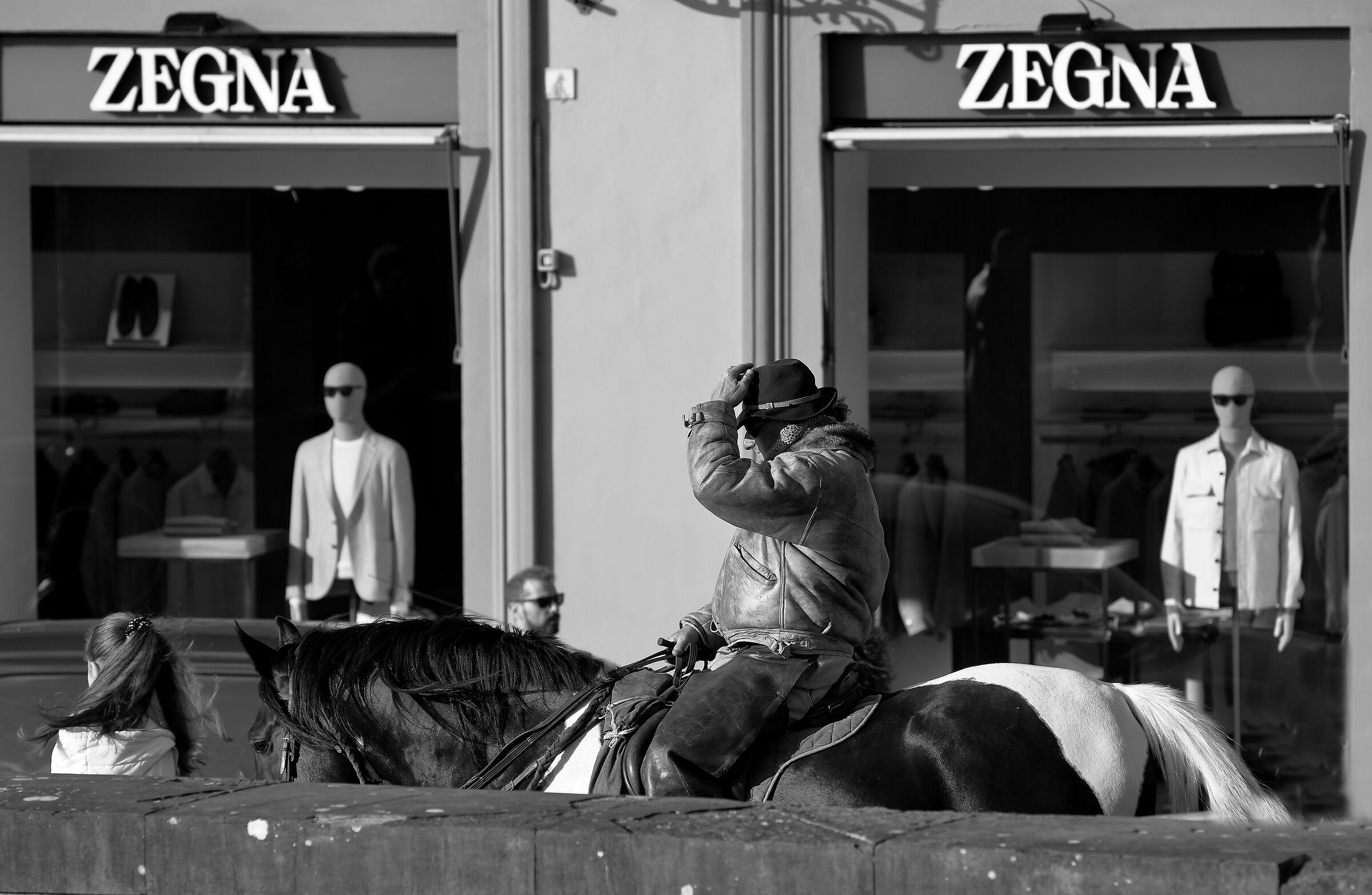 cavallo