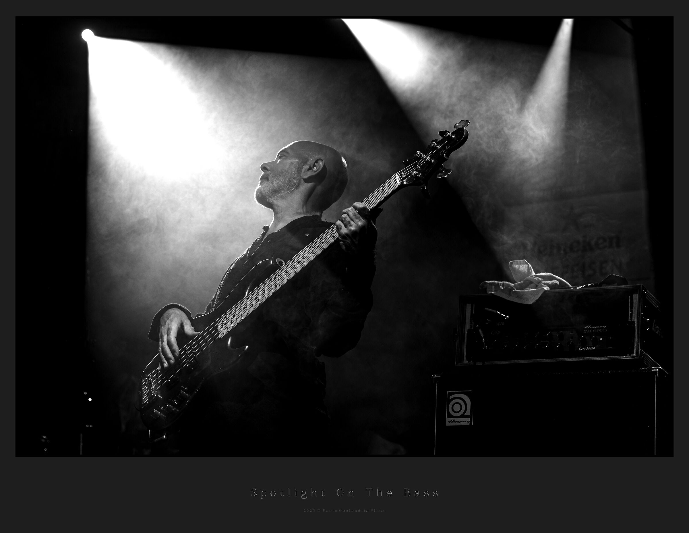 Spotlight On The Bass