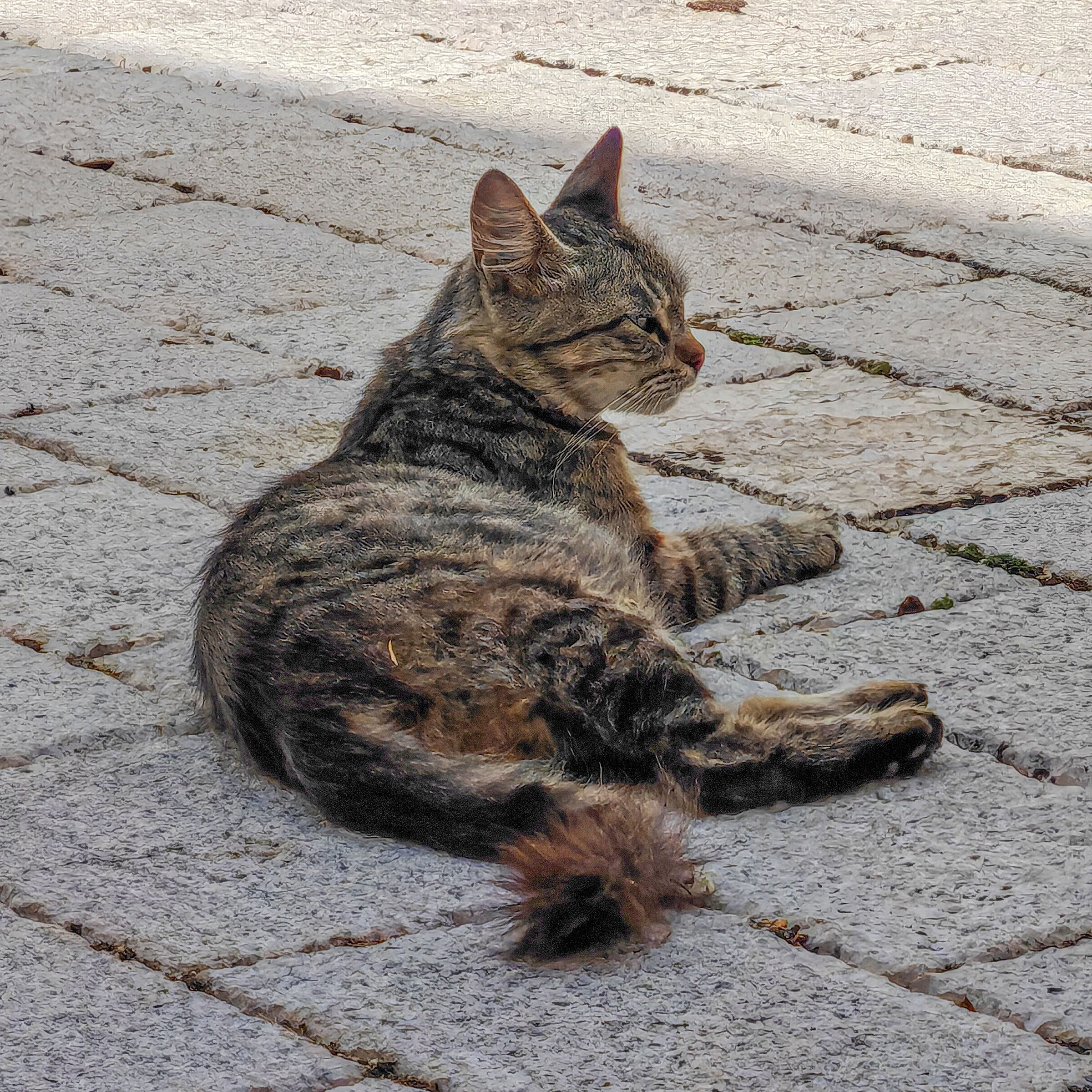 Untitled Photo