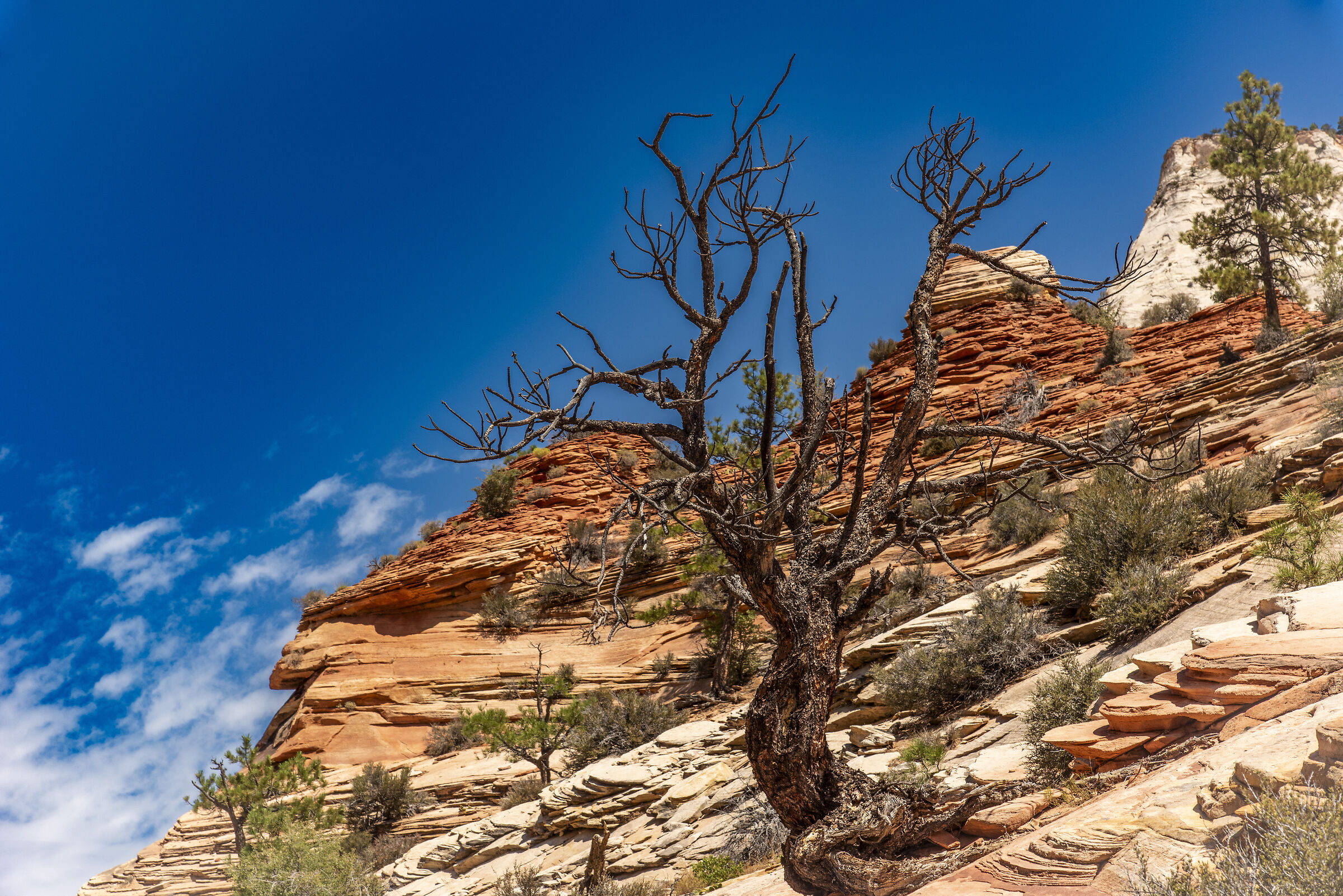 Sulla strada per Las Vegas -Las Vegas
