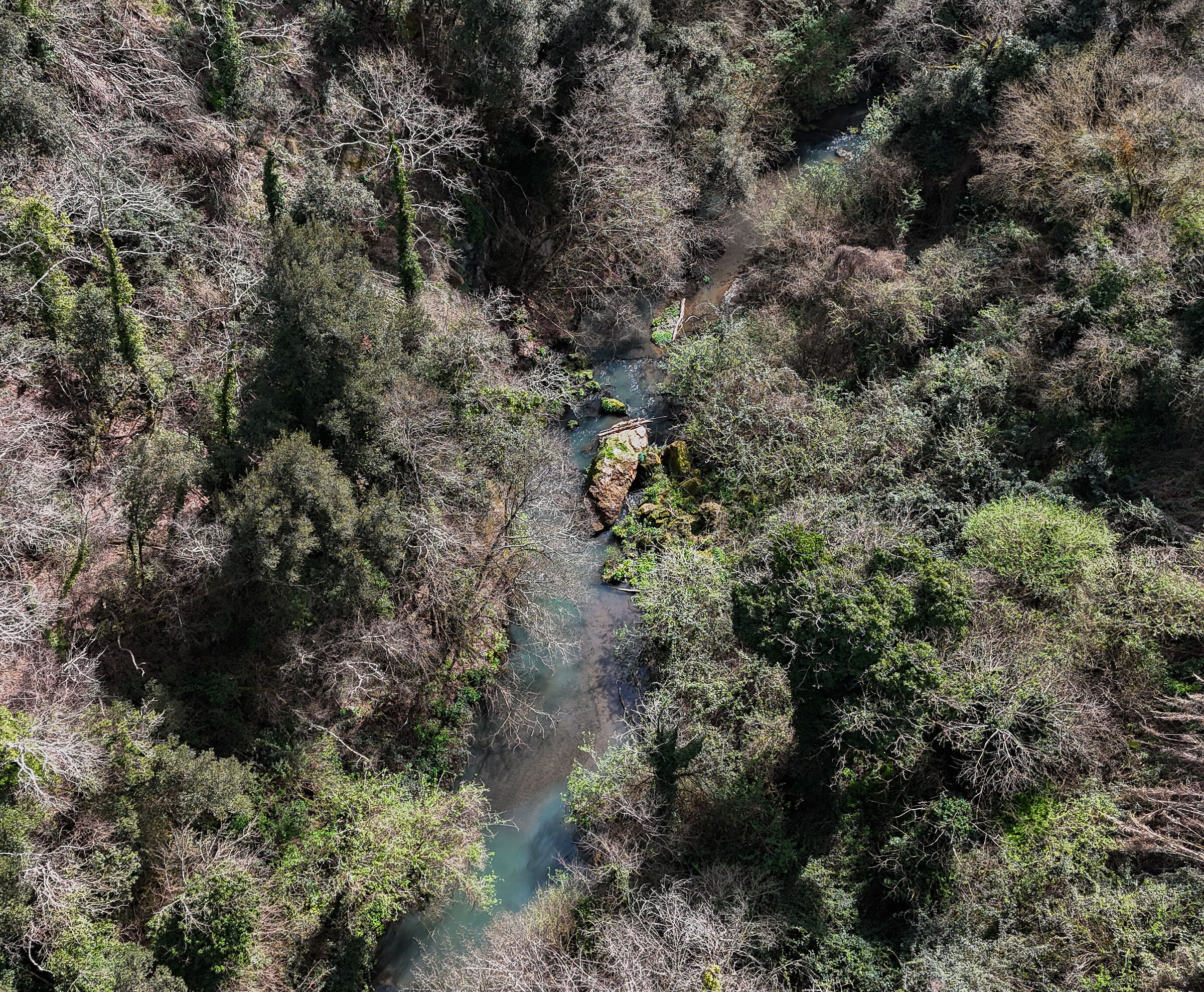 Treja