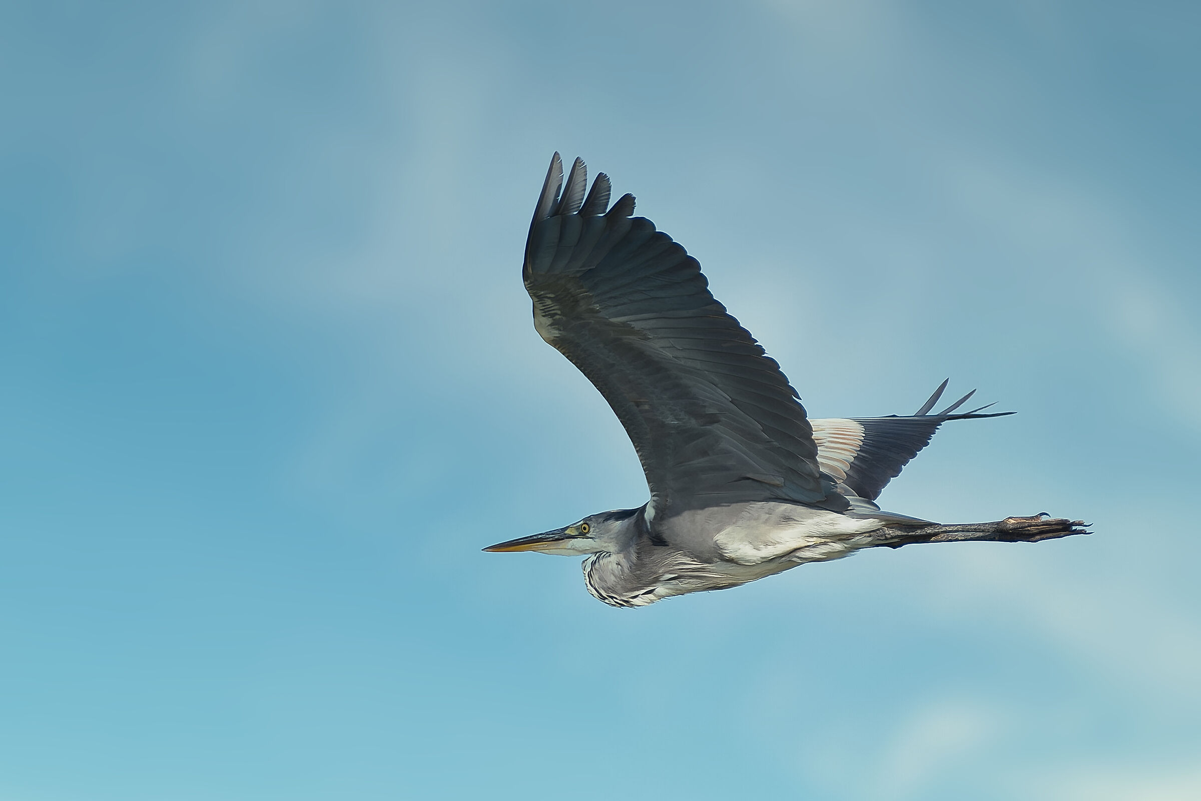 In flight