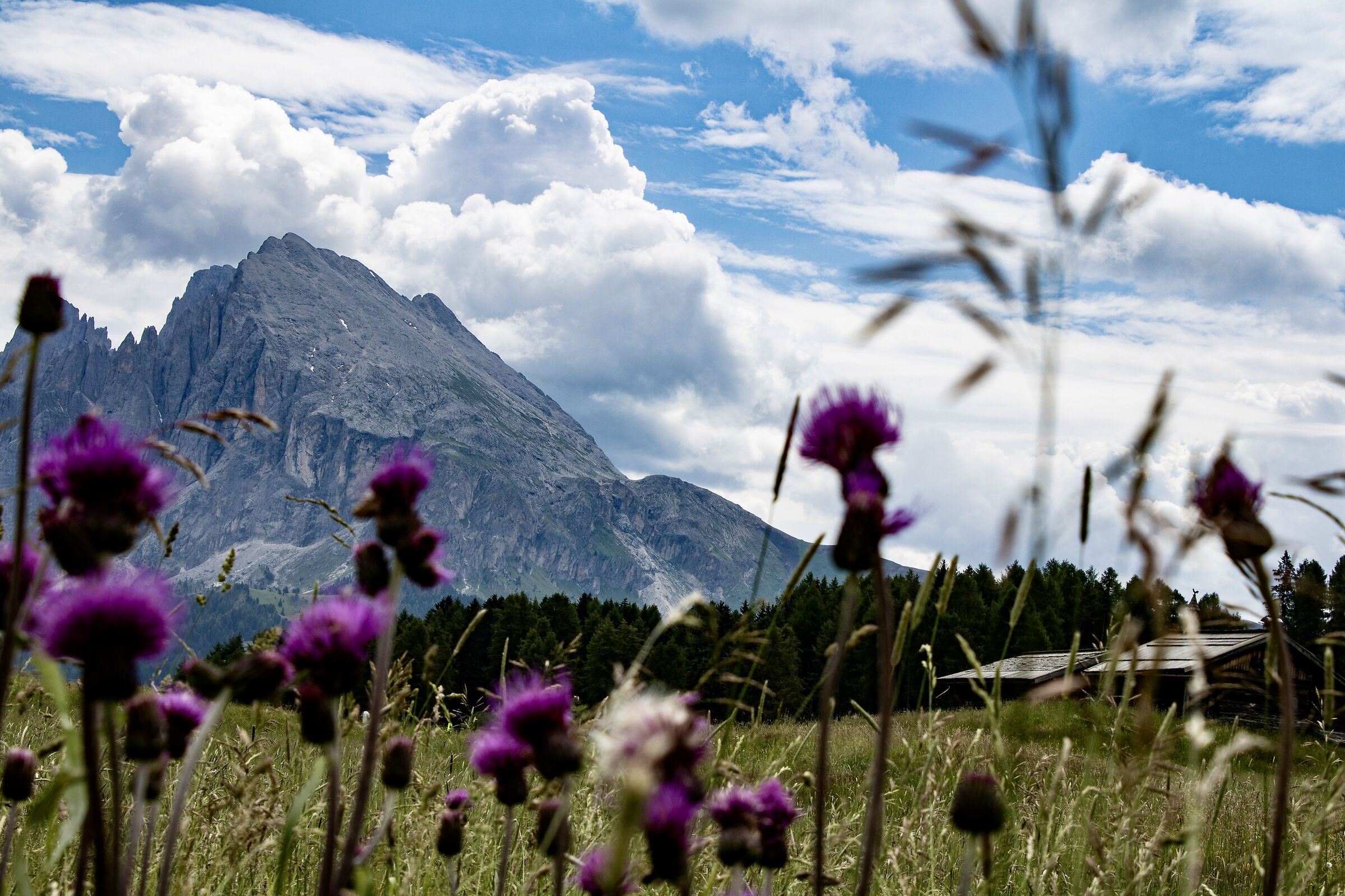 Dolomites