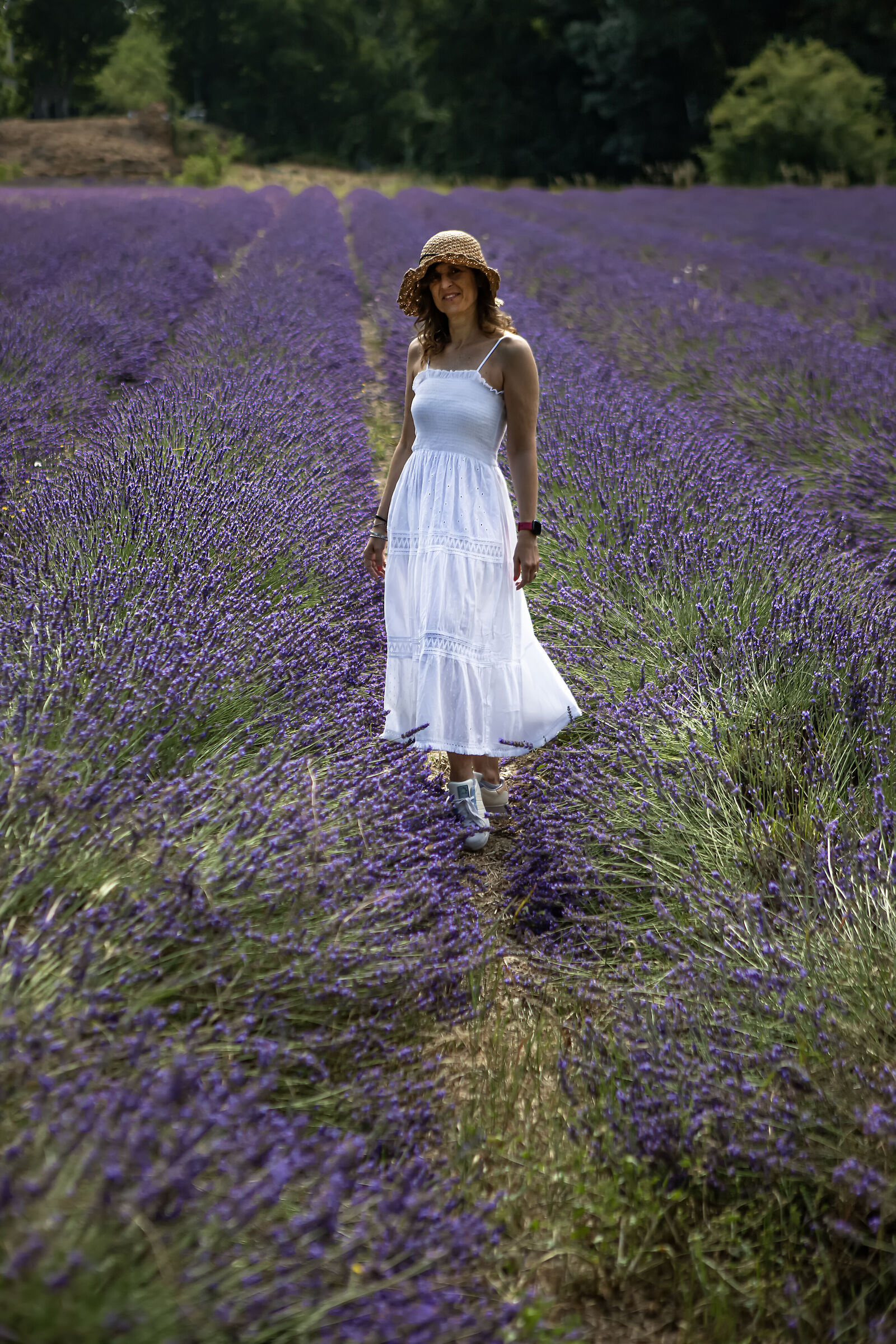 Passegiando in mezzo alla lavanda