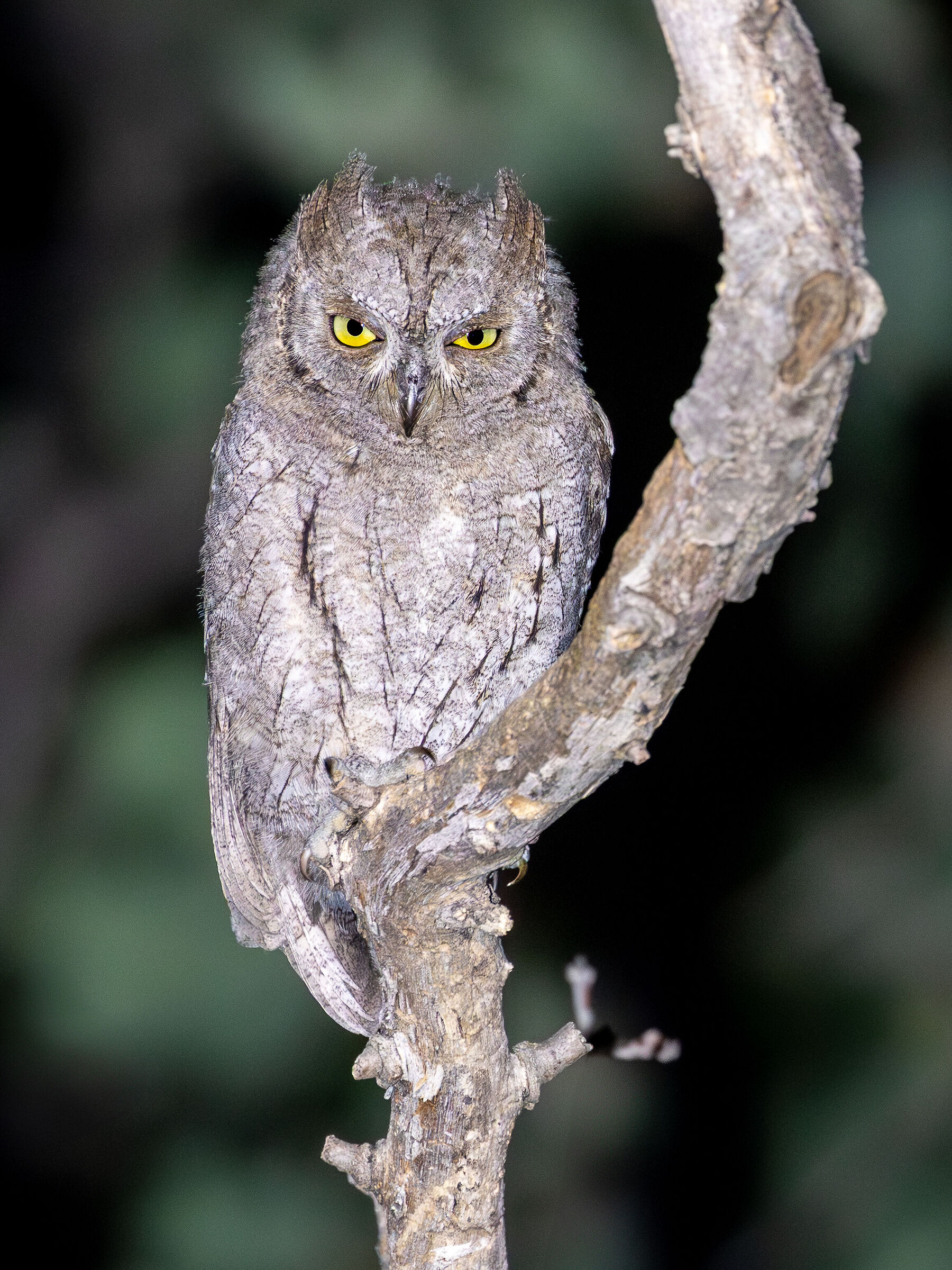 But what do you want...?