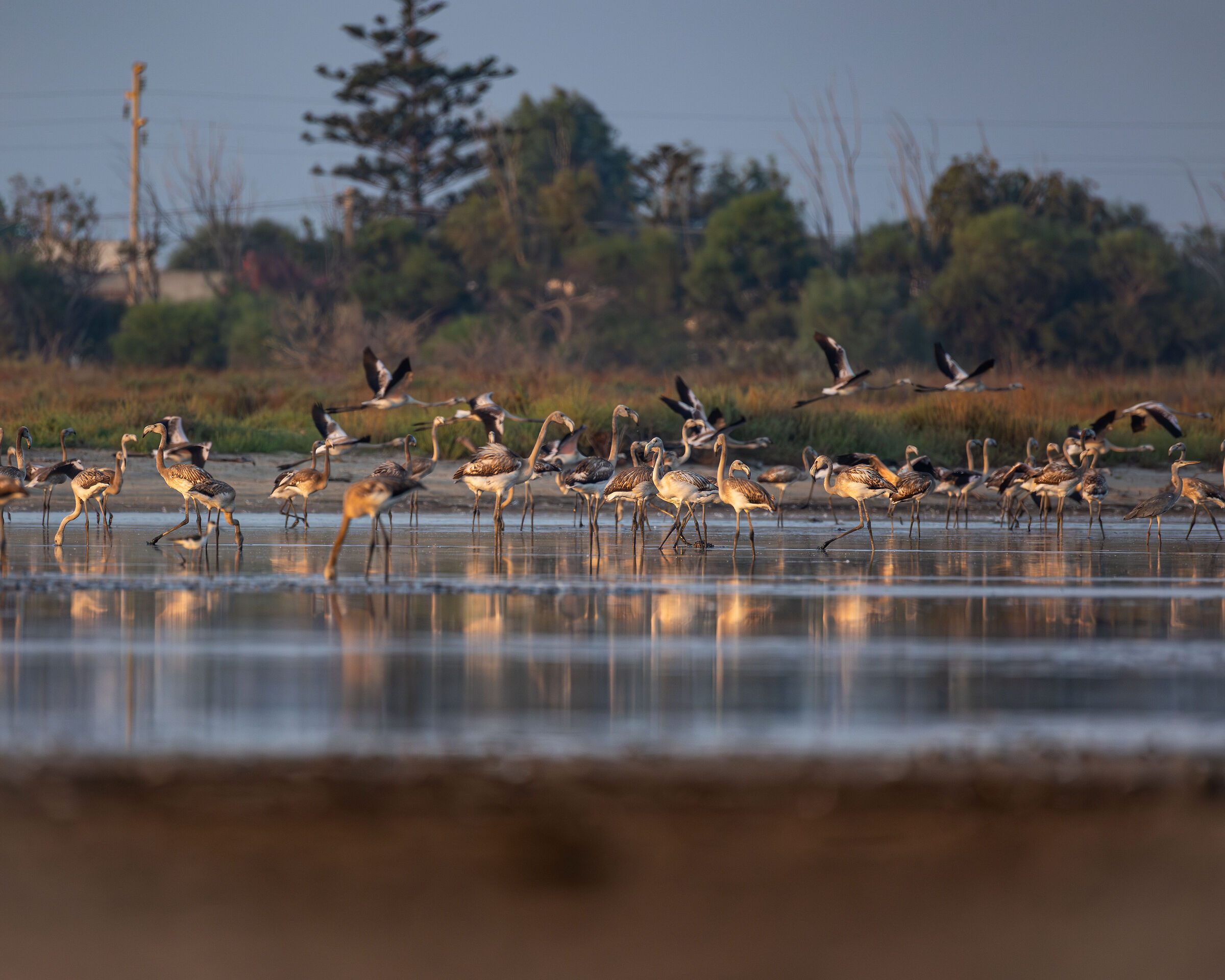 A cheerful group at dawn