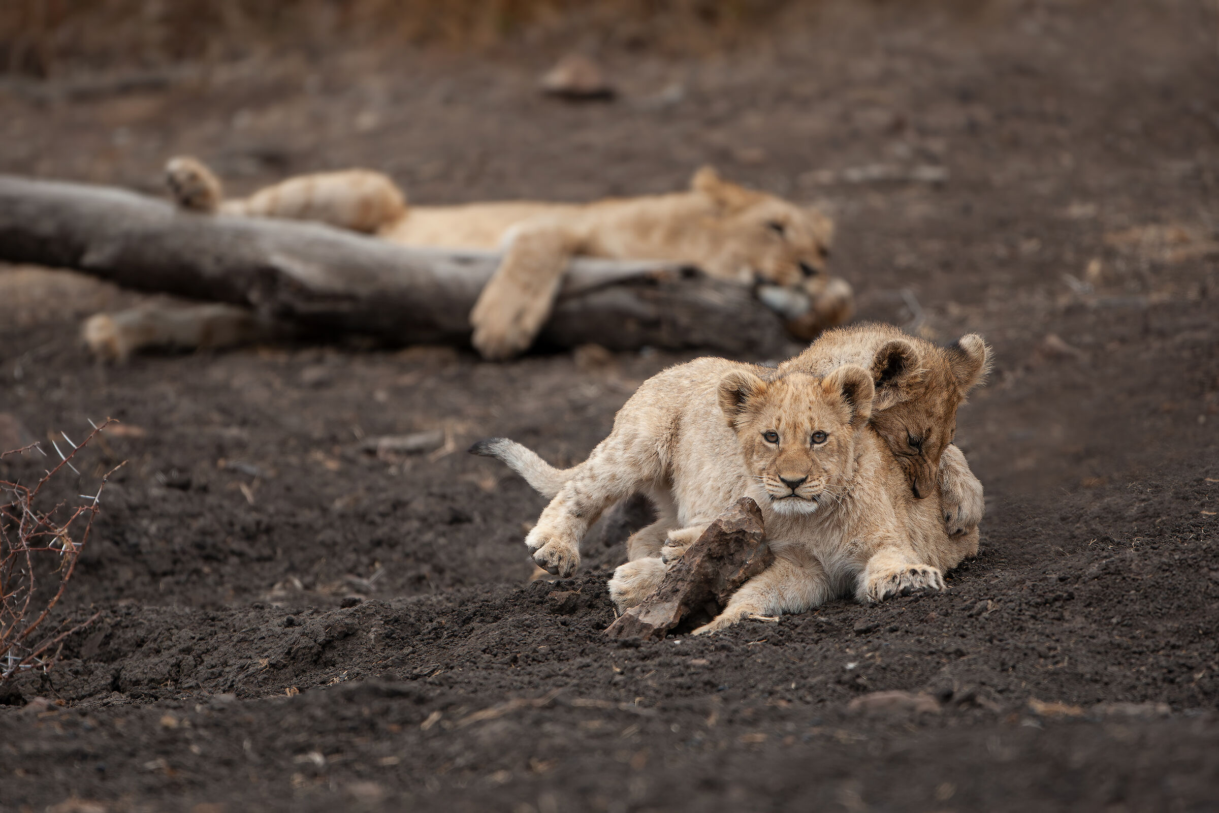 Relax in famiglia...