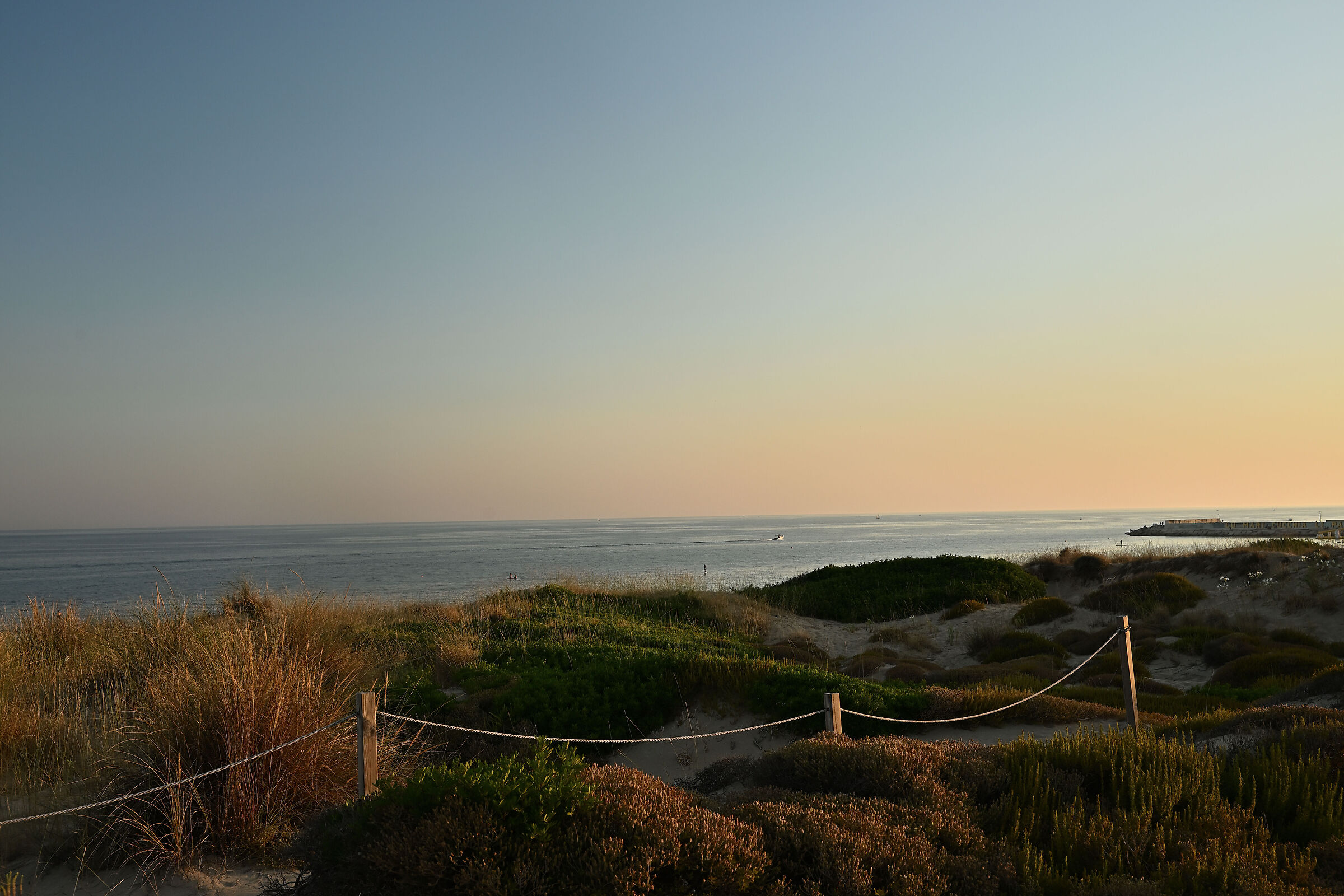 Dunes of Campomarino 2