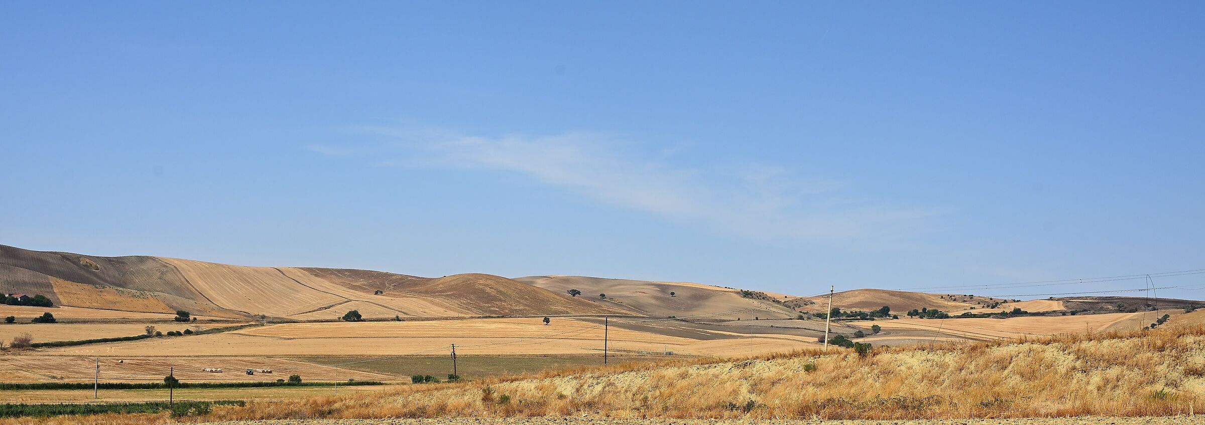 Open fields.