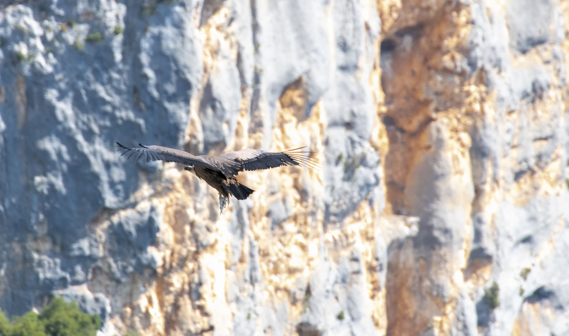 Gorge du Verdon