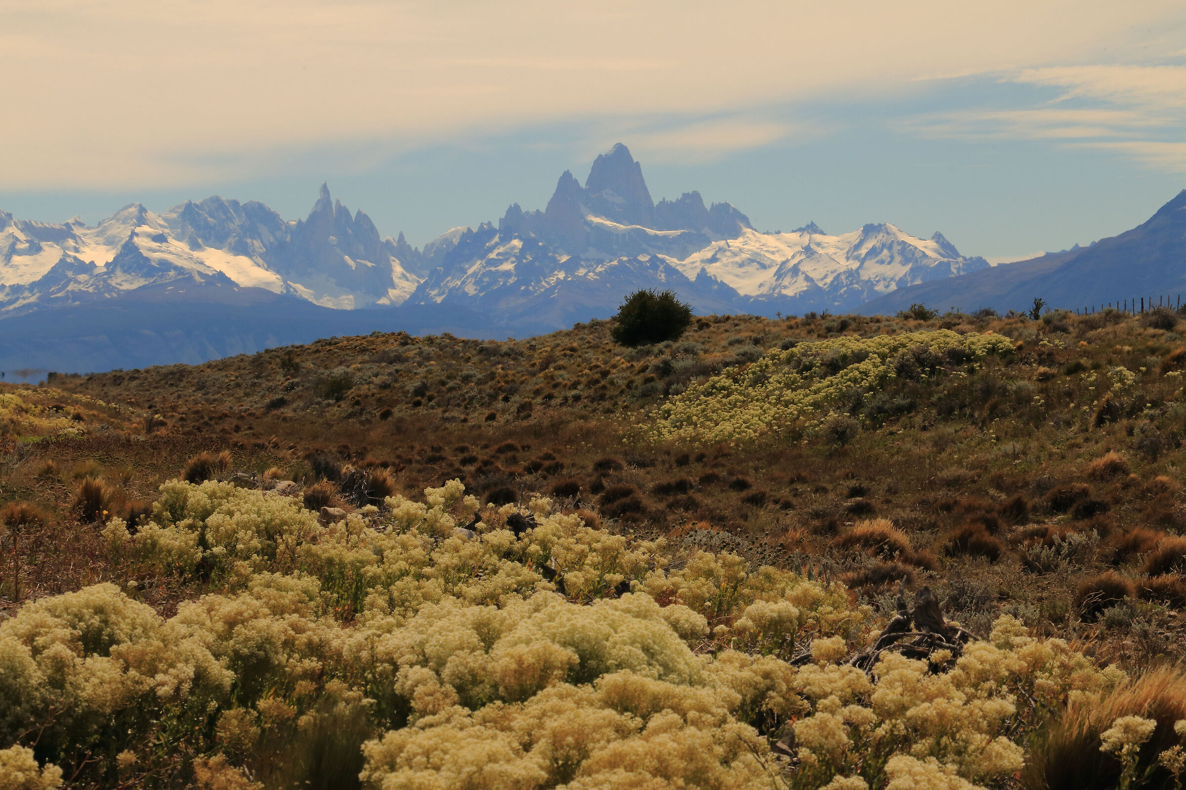 Fitz Roy all'orizzonte