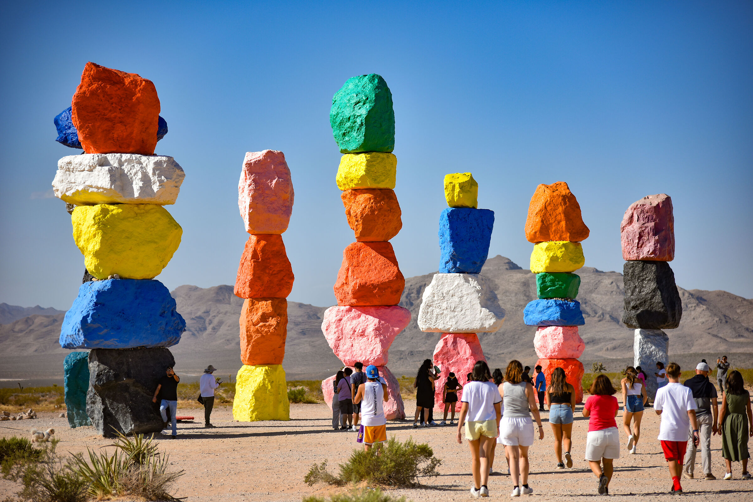 nel deserto del nevada