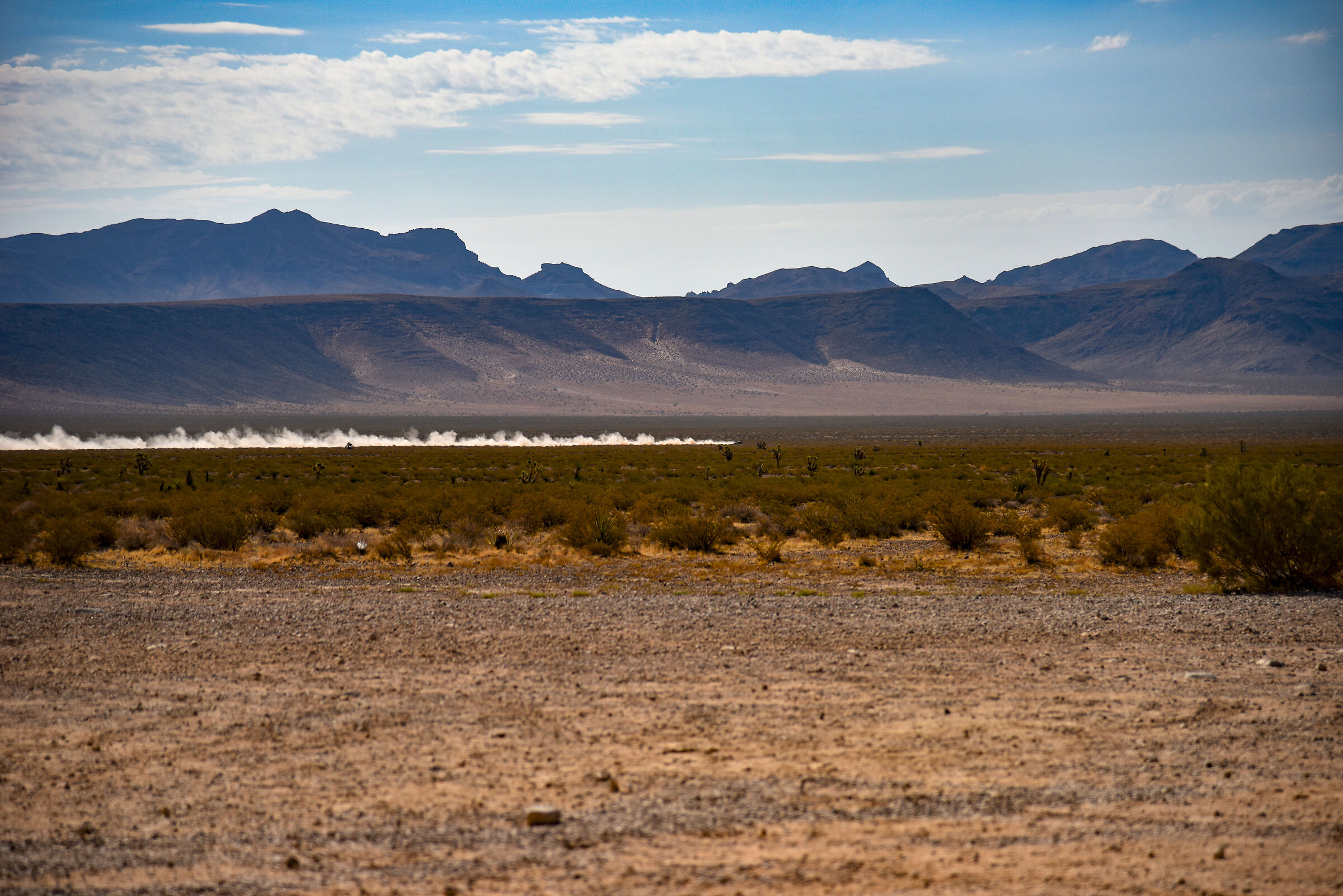 Beep Beep the Road Runner "incontro dal vivo" nel ...