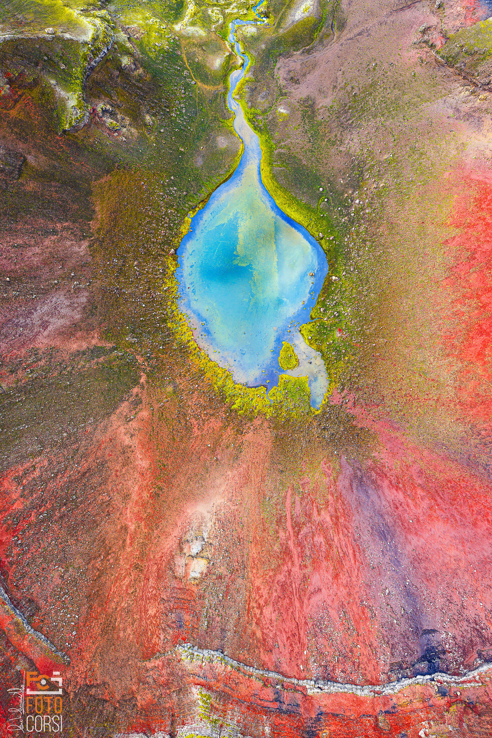 Primordial conception