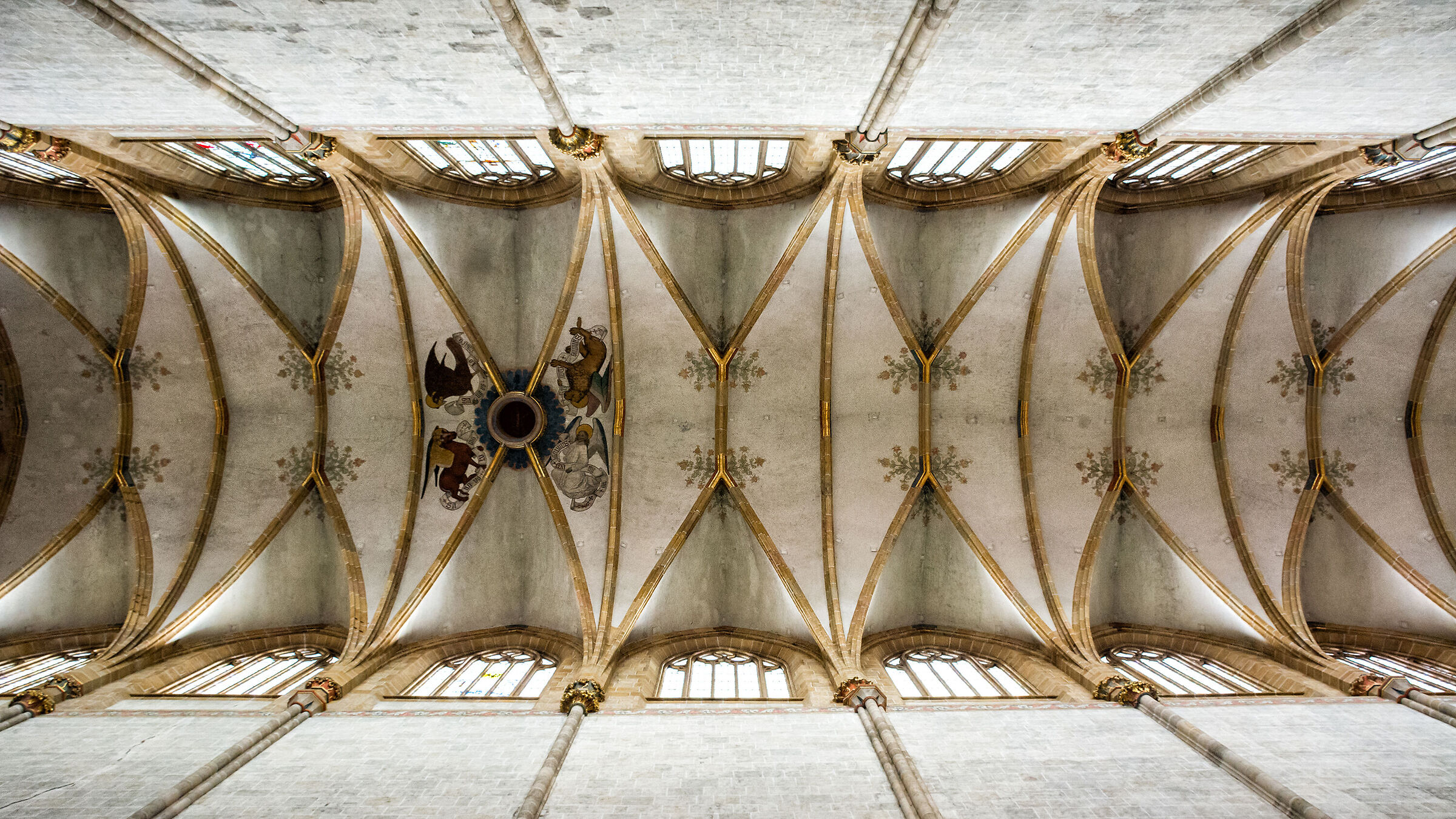 Il soffitto della cattedrale